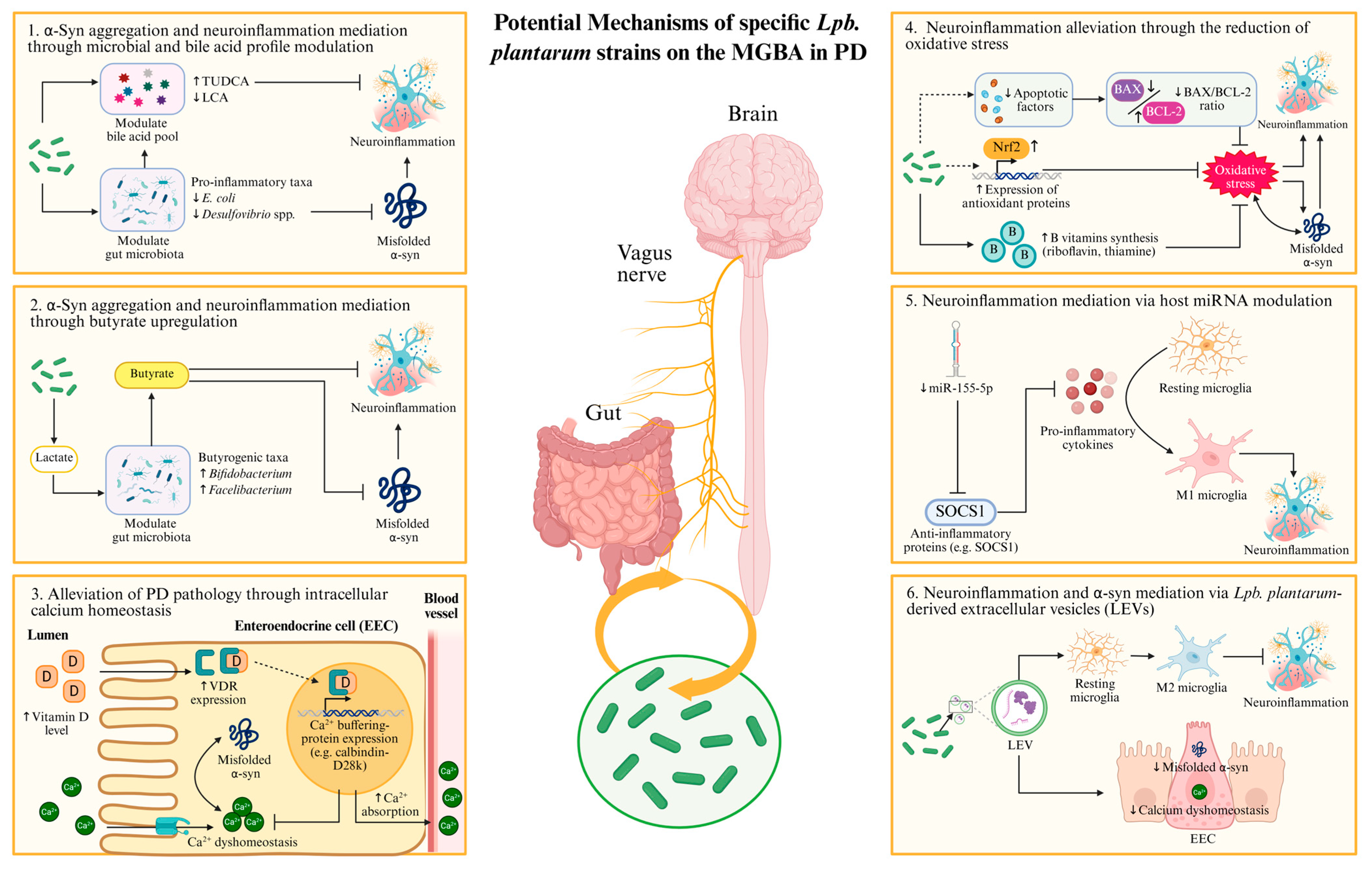 Nutrients 17 03047 g002