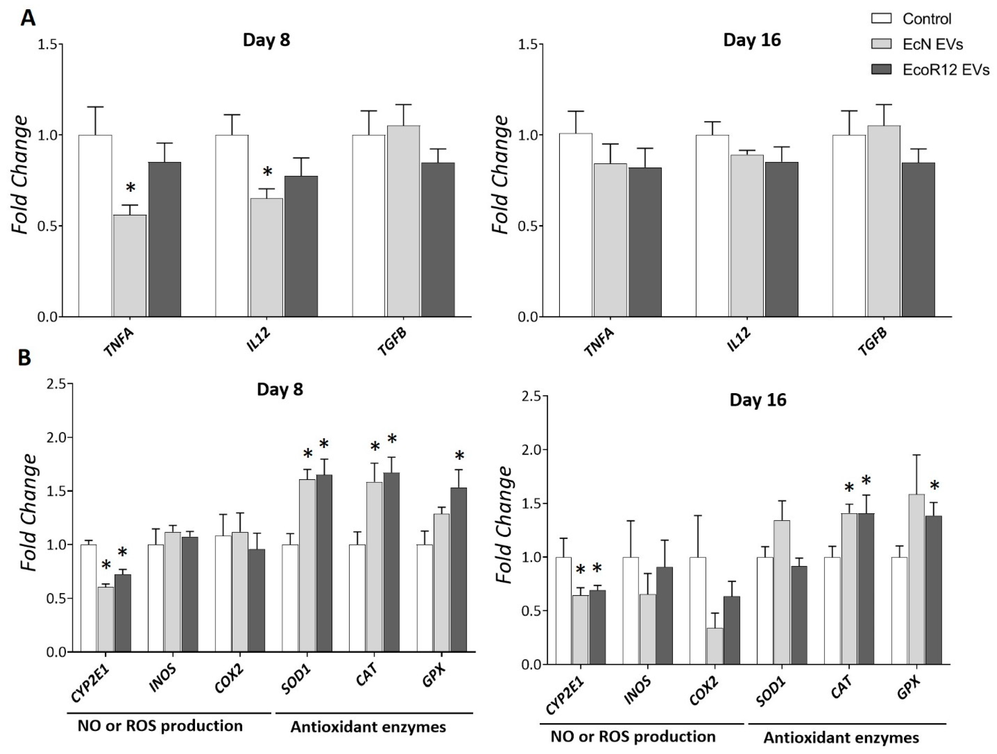 Nutrients 17 03066 g002