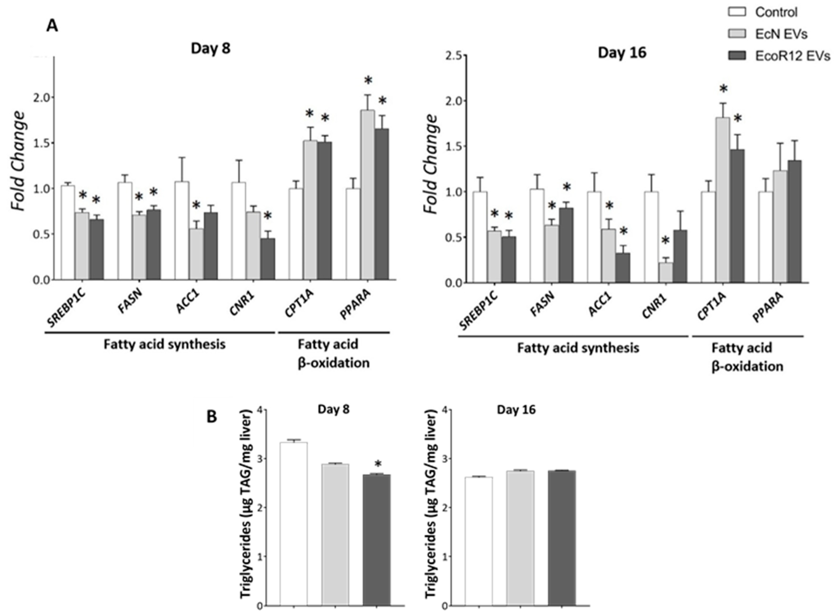 Nutrients 17 03066 g003