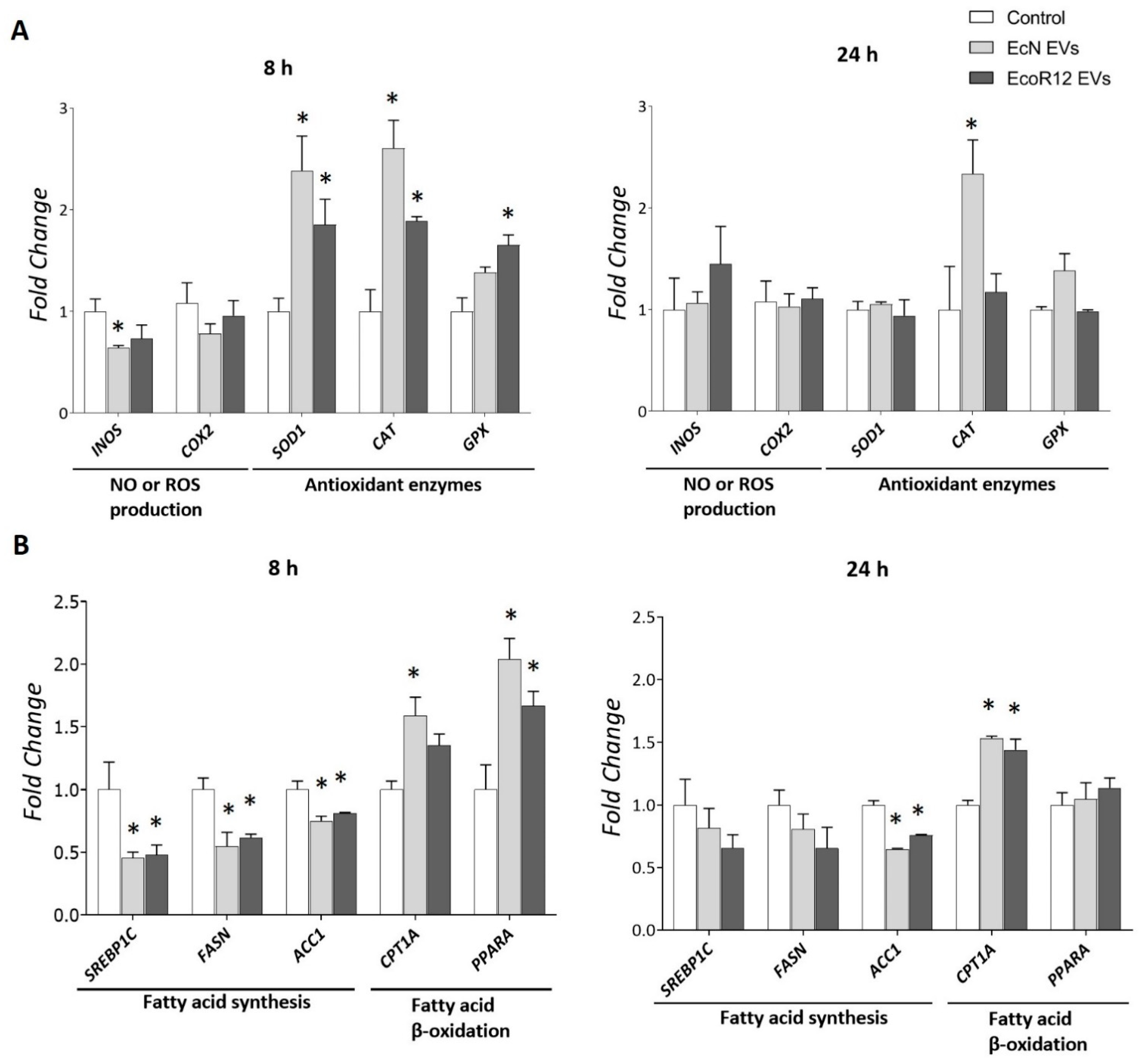 Nutrients 17 03066 g006