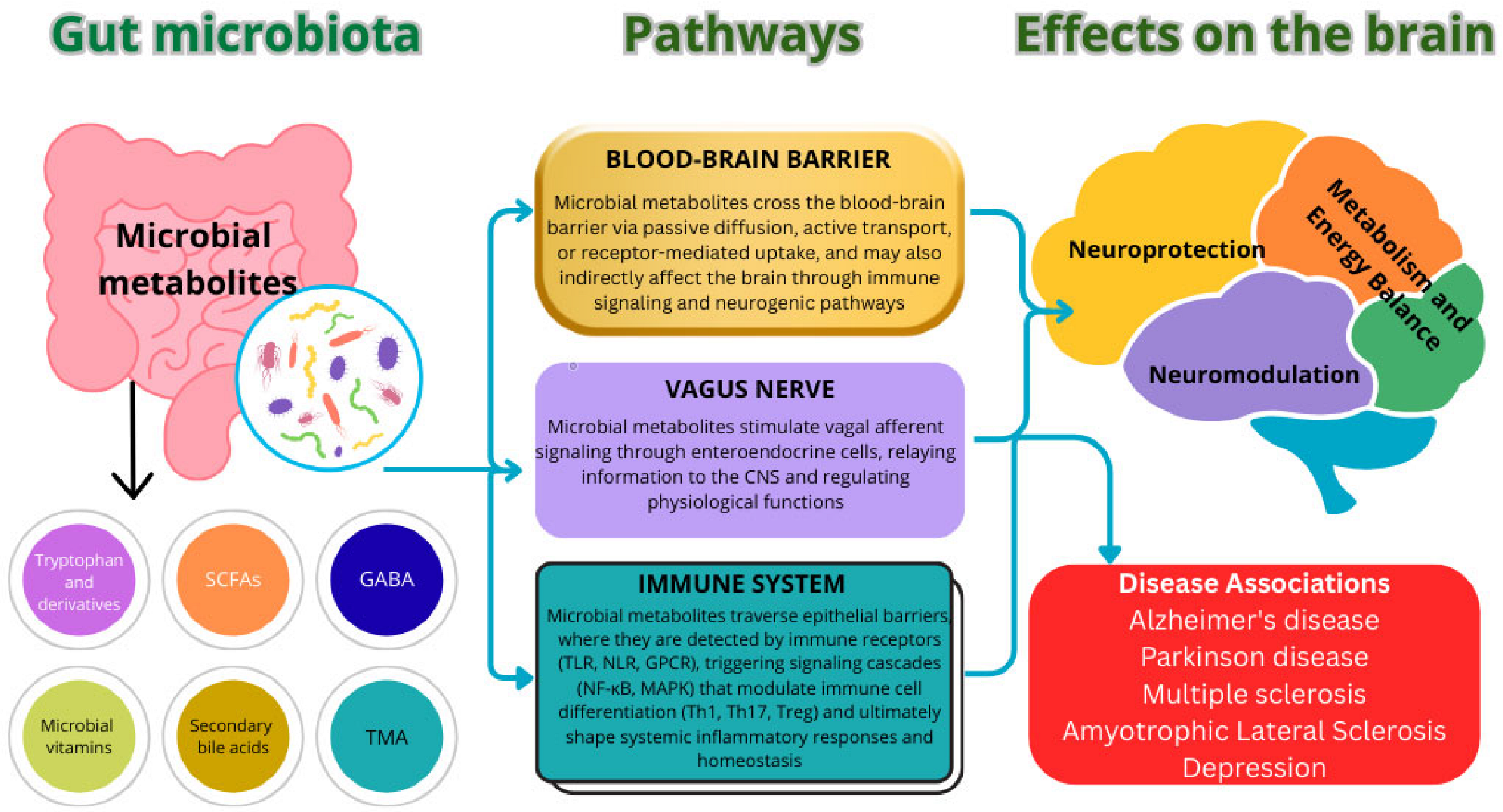 Precision Nutrition and Gut–Brain Axis Modulation in the Prevention of ...