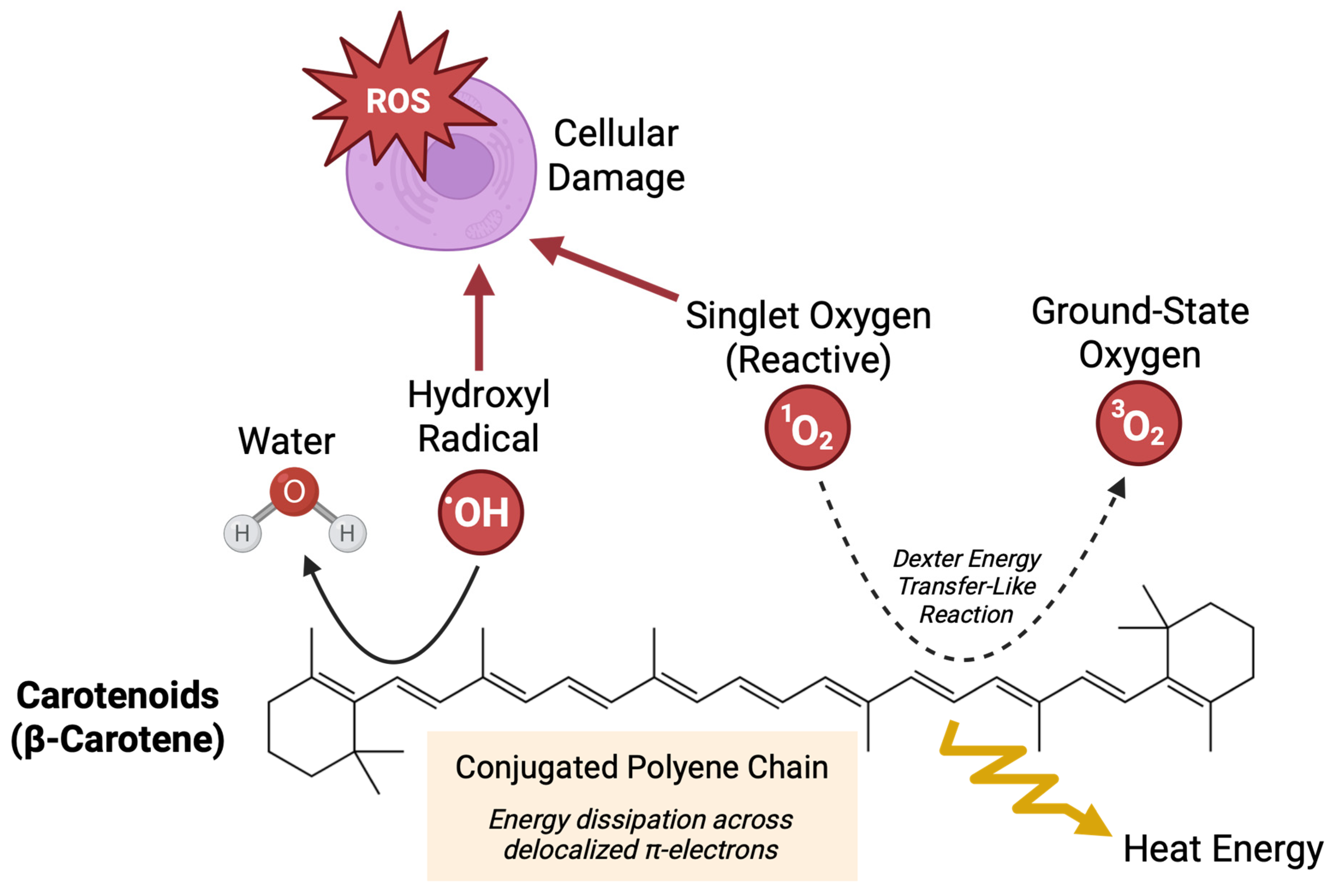 Nutrients 17 03104 g001