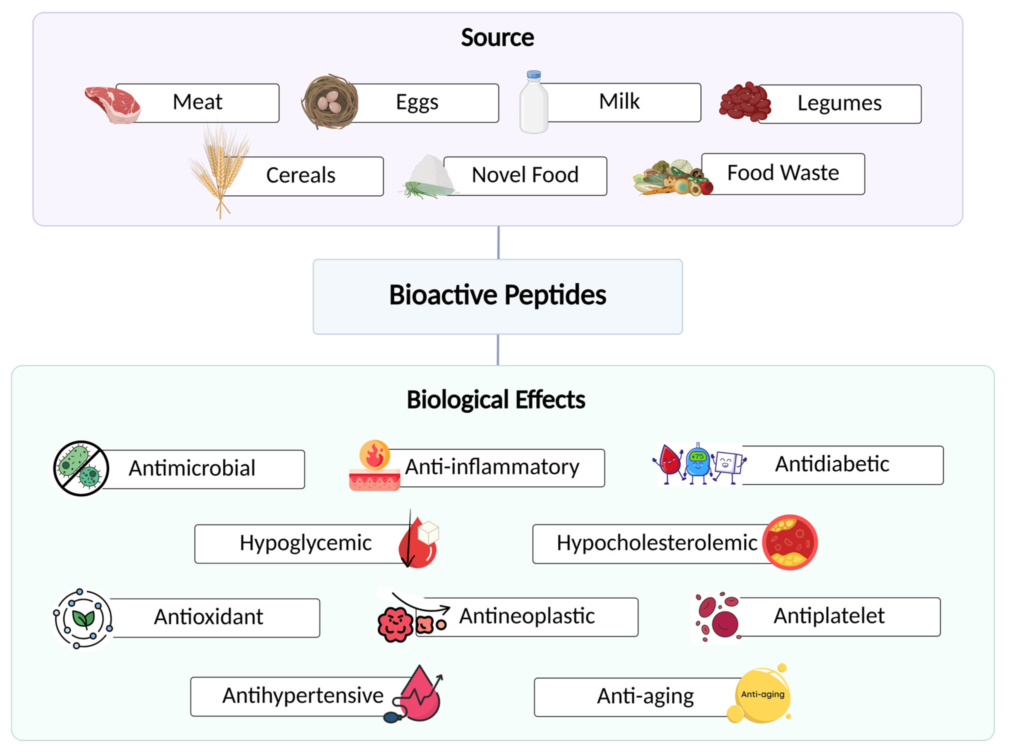 Nutrients 17 03105 g001