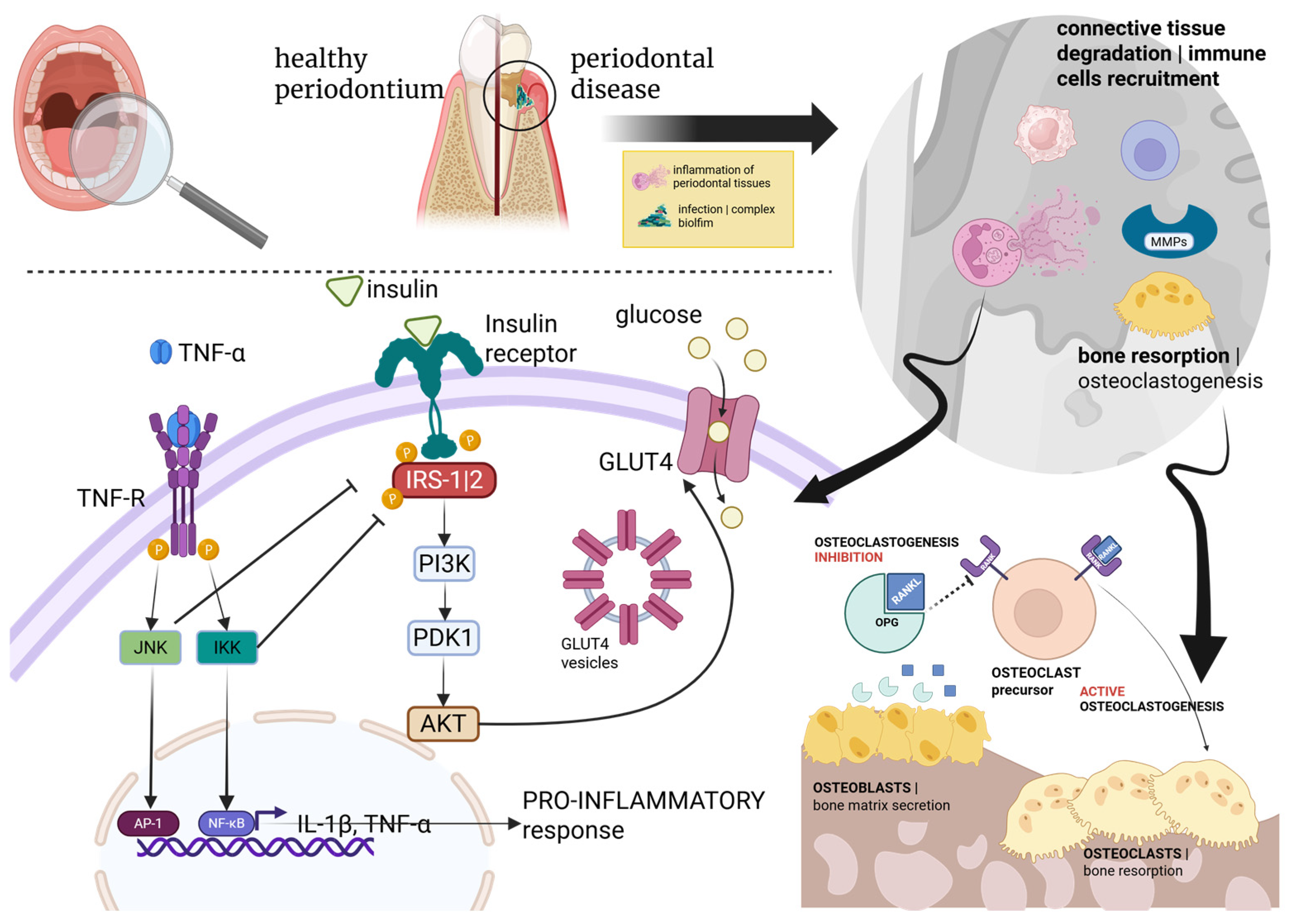 Nutrients 17 03105 g002
