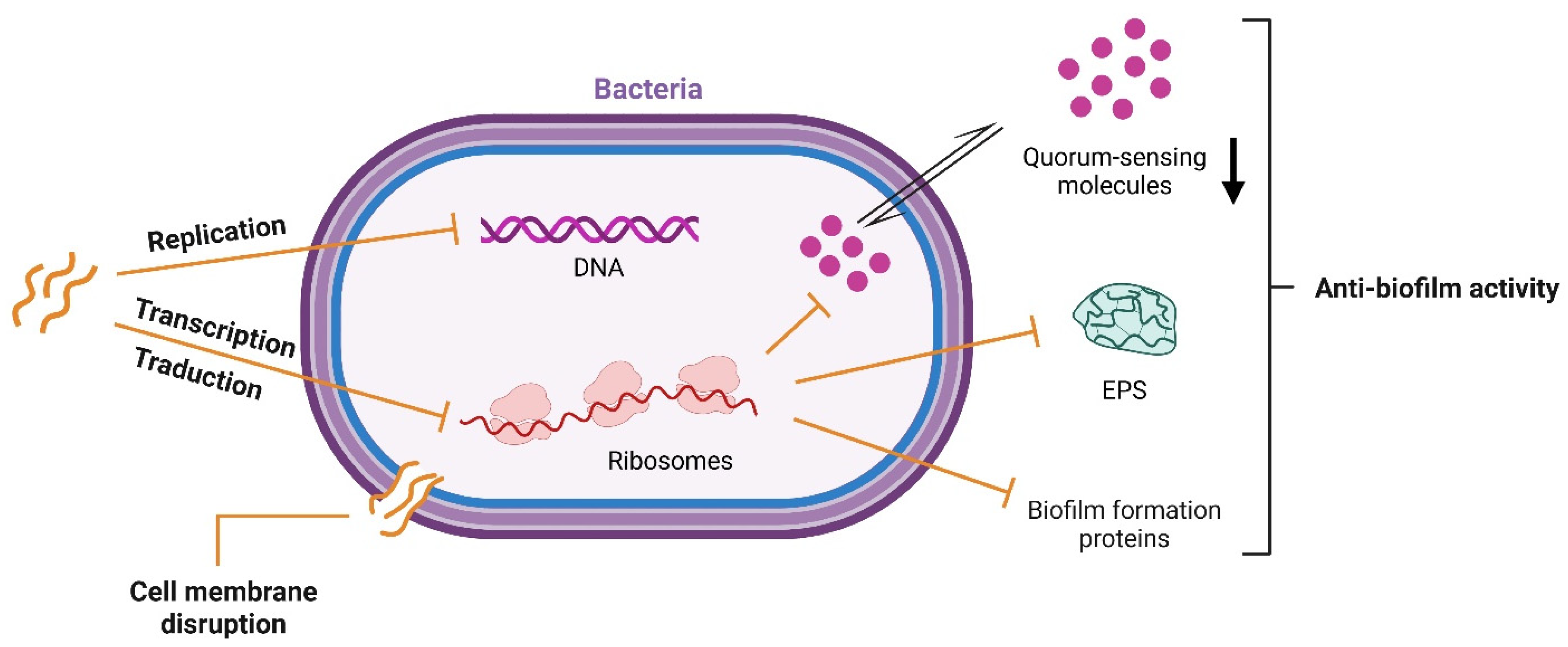 Nutrients 17 03105 g004