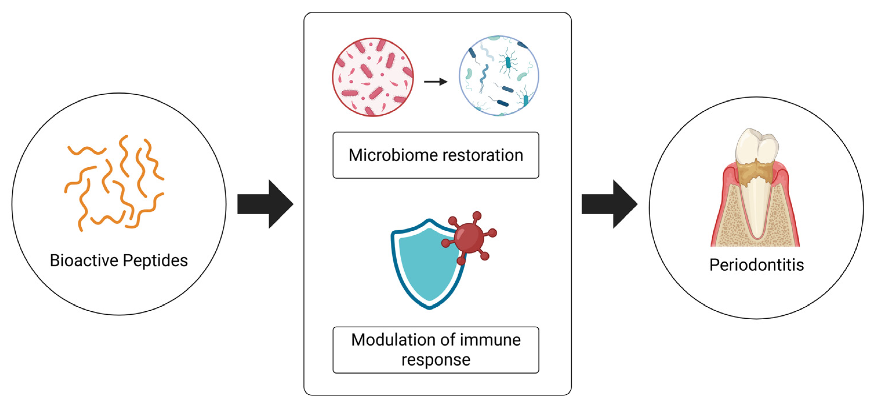 Nutrients 17 03105 g005