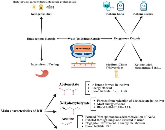 Nutrients 17 03125 g001