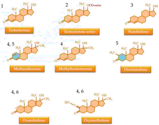 Nutrients 17 03146 g003