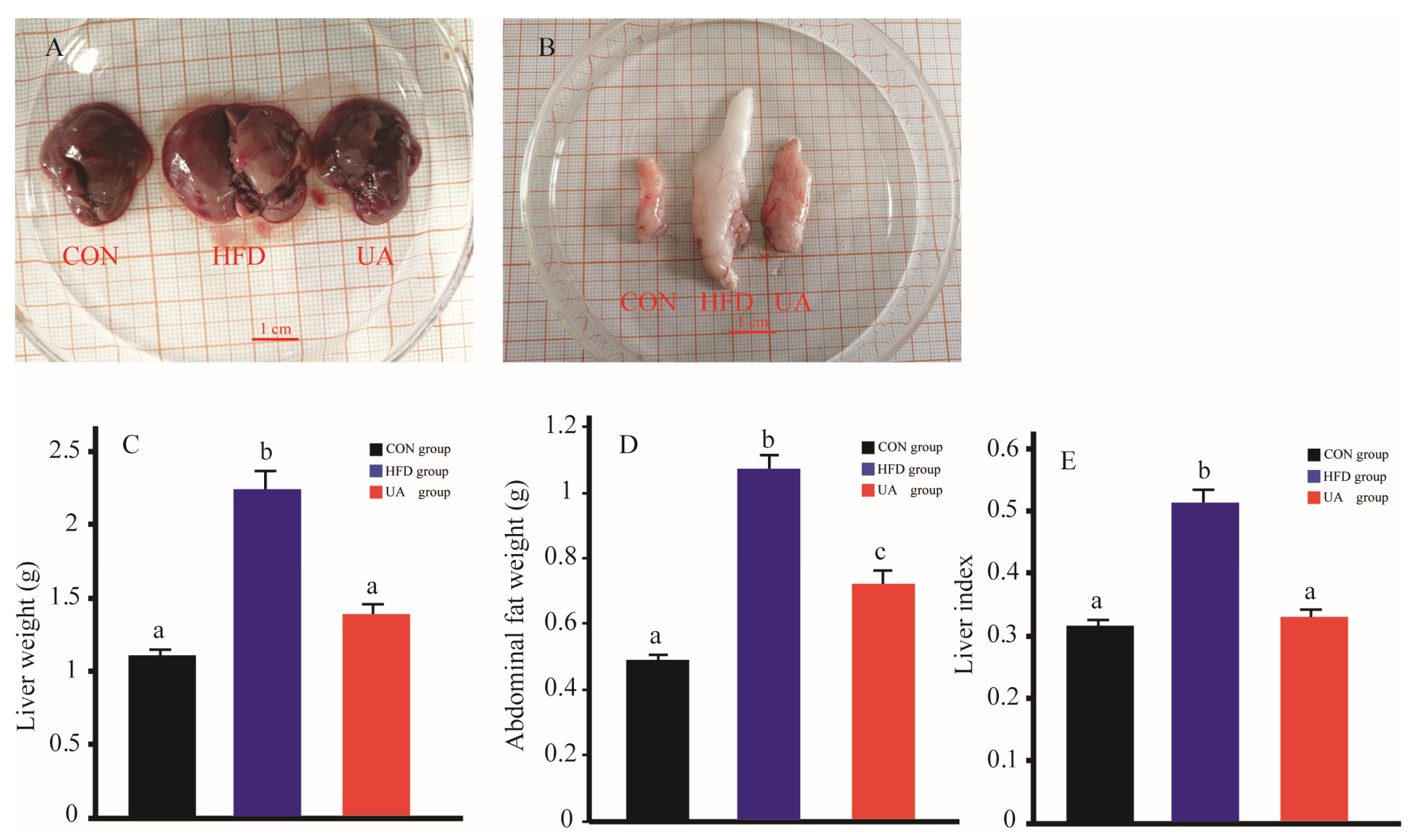 Nutrients 17 03158 g003 Nutrients 17 03158 g003