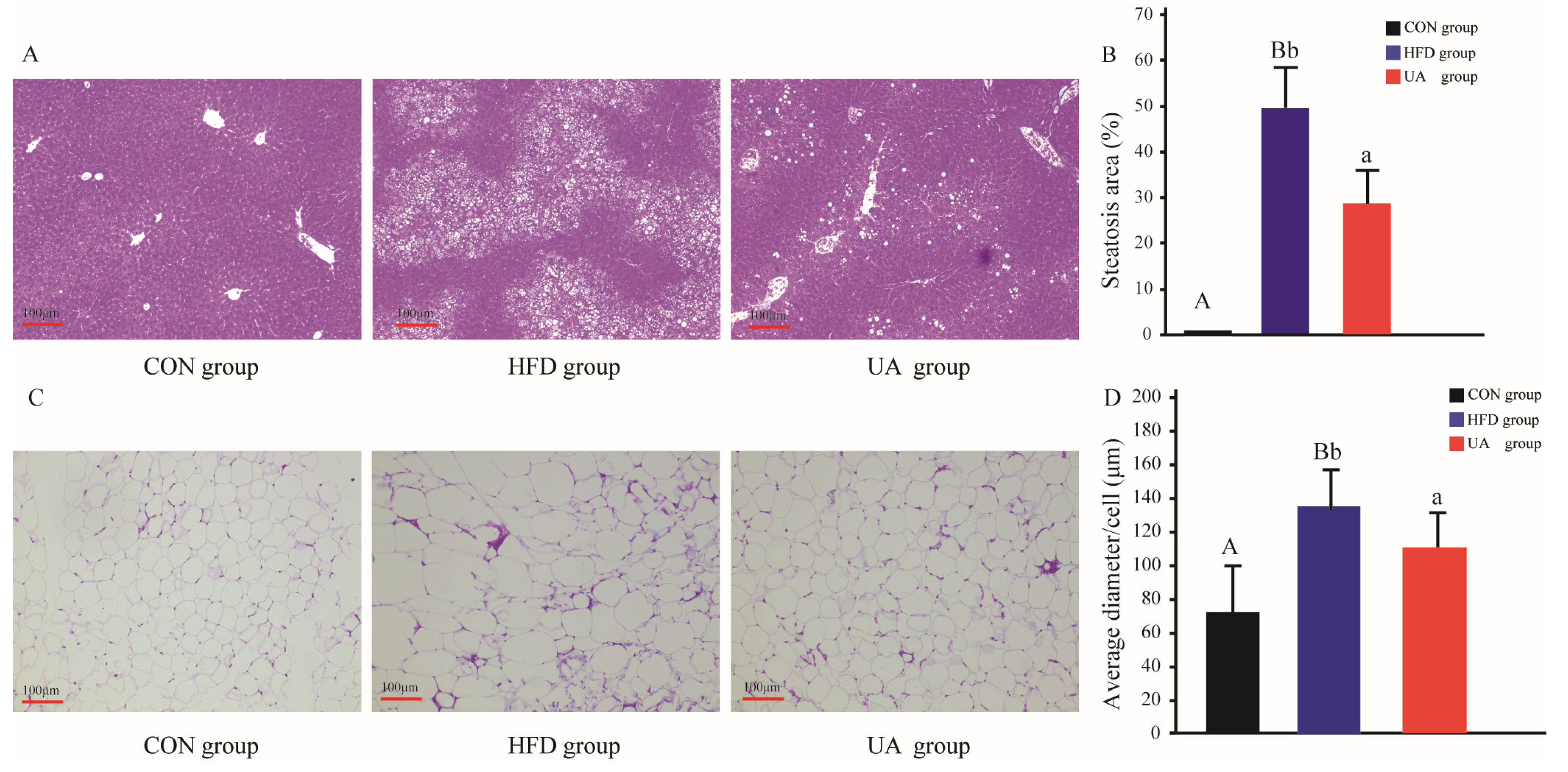 Nutrients 17 03158 g004 Nutrients 17 03158 g004