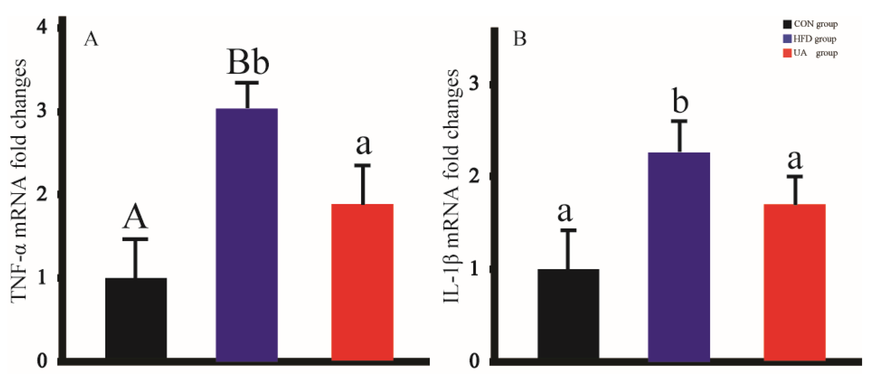 Nutrients 17 03158 g006 Nutrients 17 03158 g006