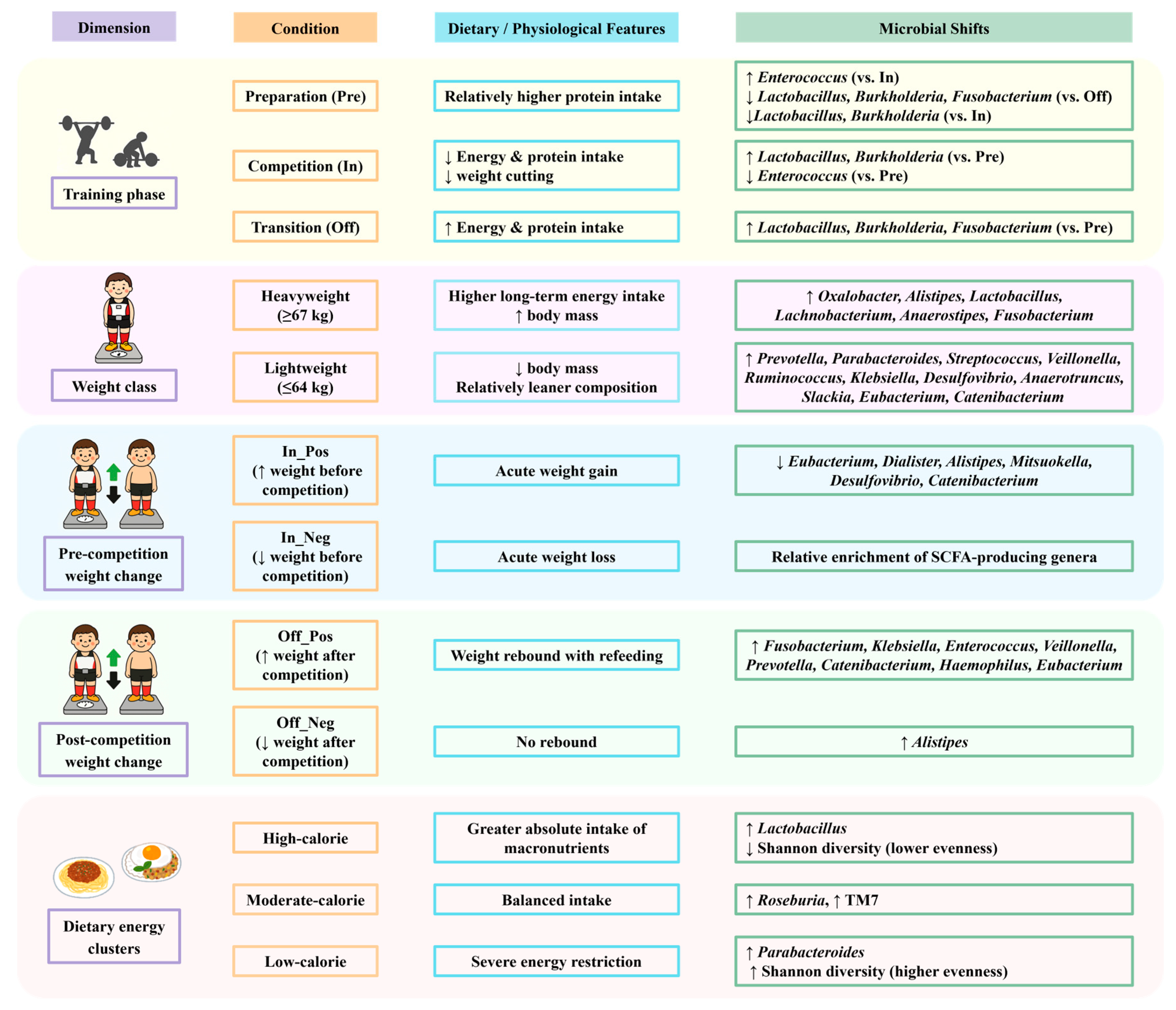 Nutrients 17 03199 g007