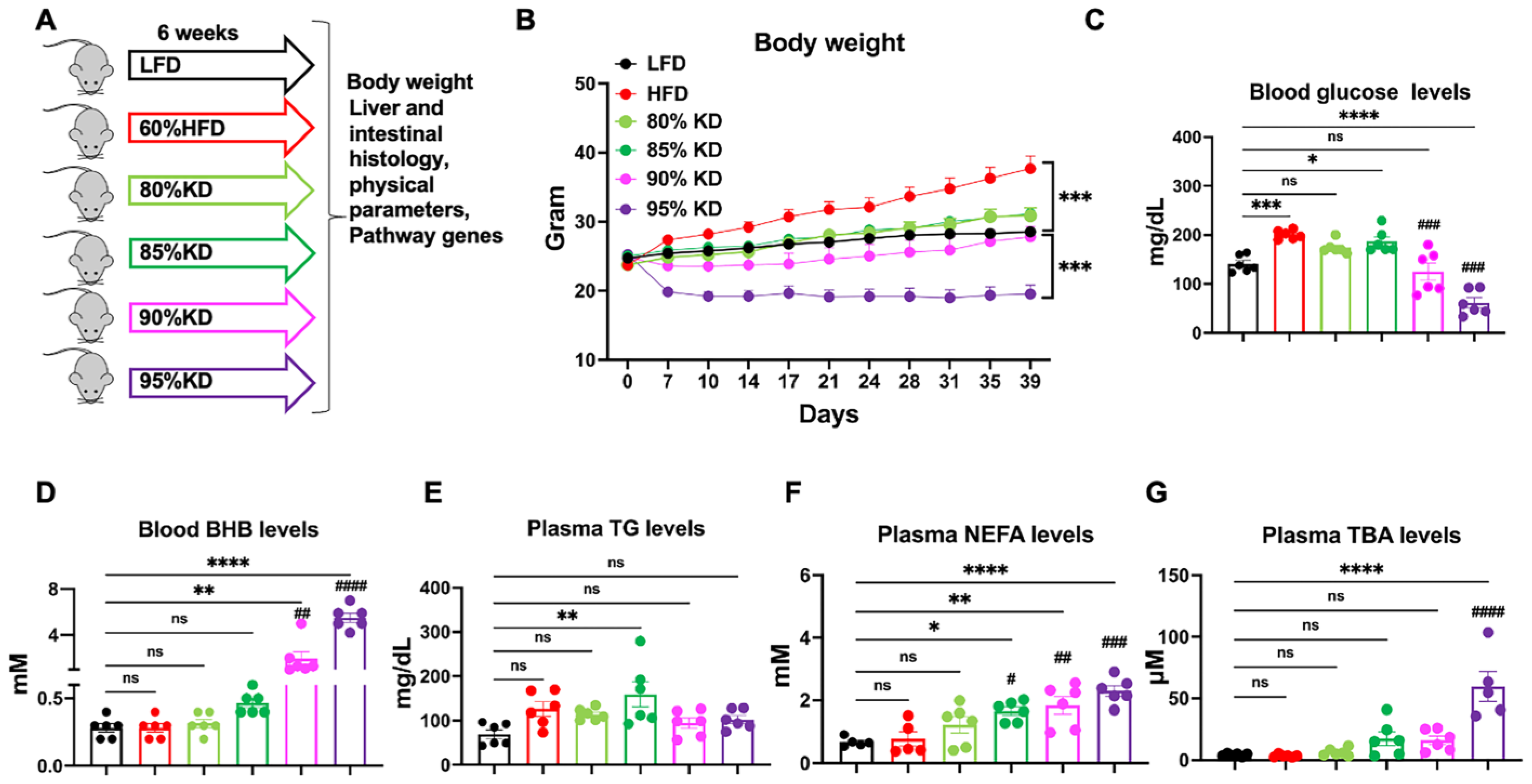 Nutrients 17 03203 g001 Nutrients 17 03203 g001