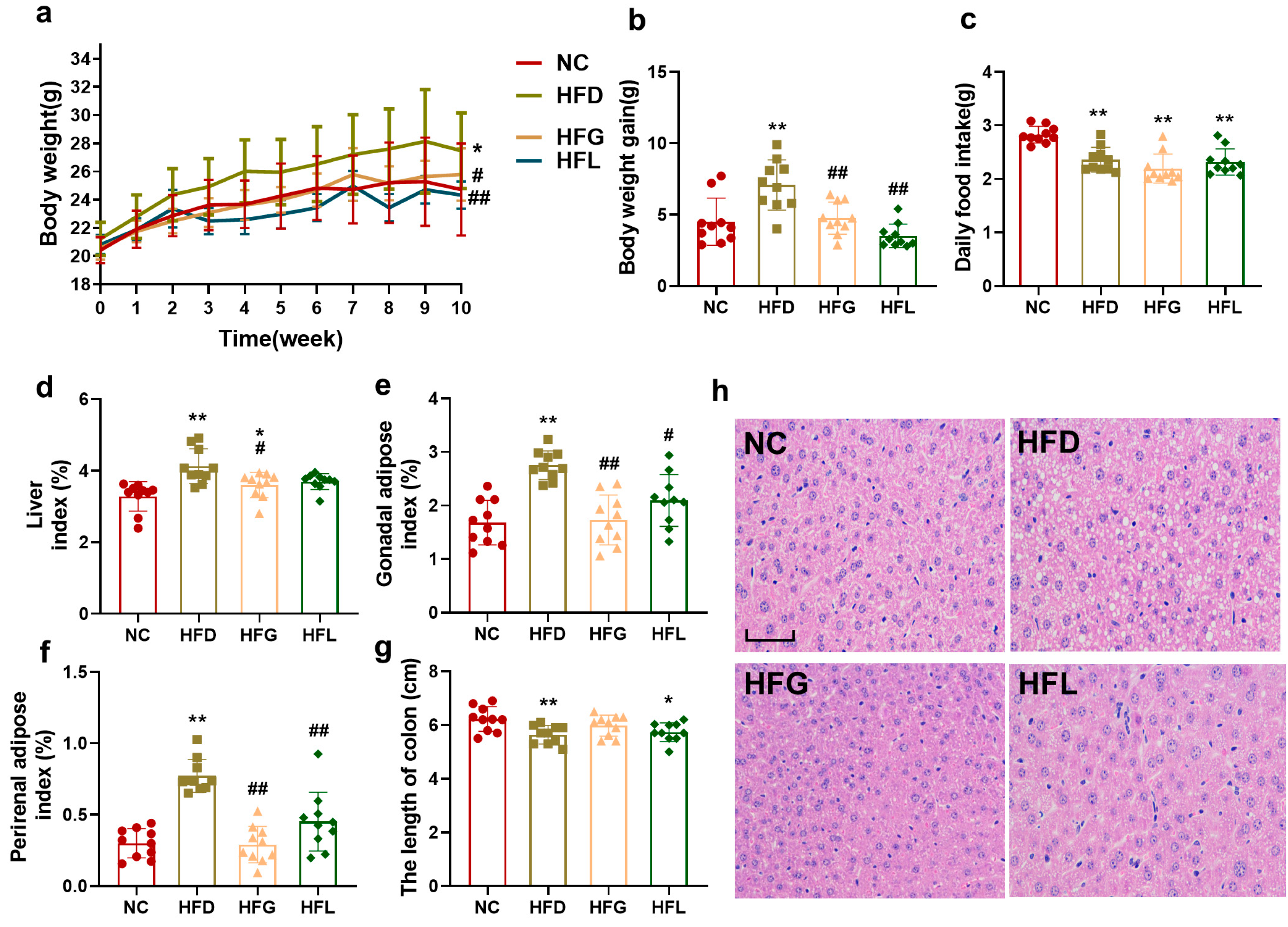 Nutrients 17 03228 g001 Nutrients 17 03228 g001