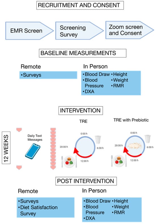 Nutrients 17 03306 g001