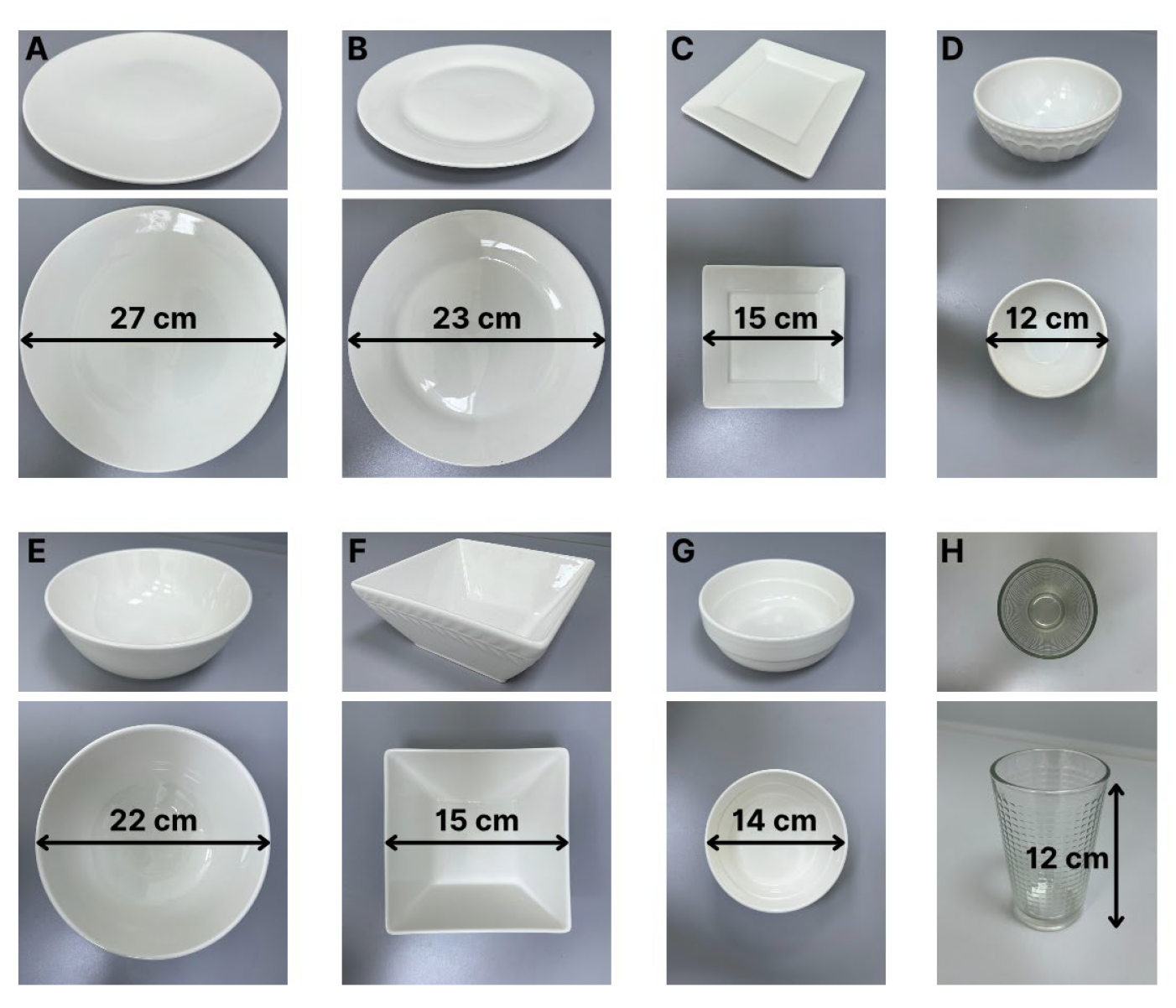 Nutrients 17 03315 g002