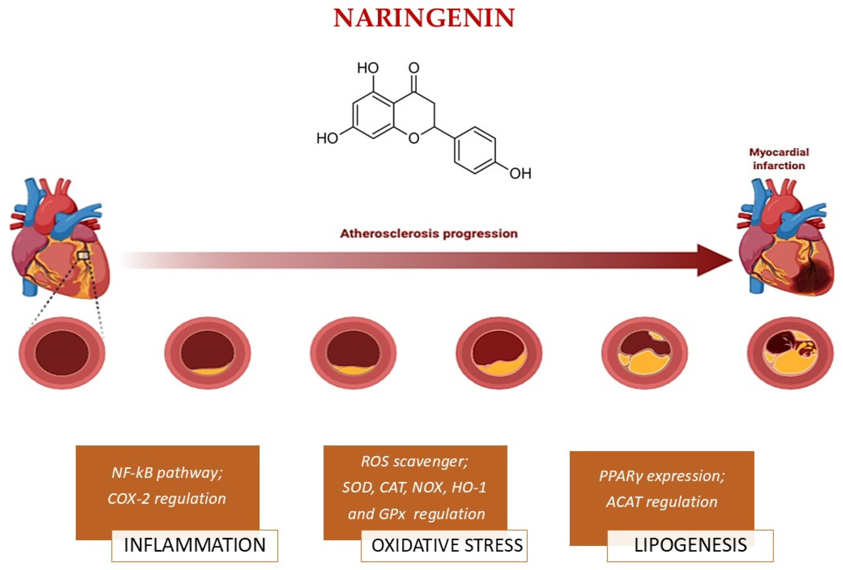 Nutrients 17 03316 g003
