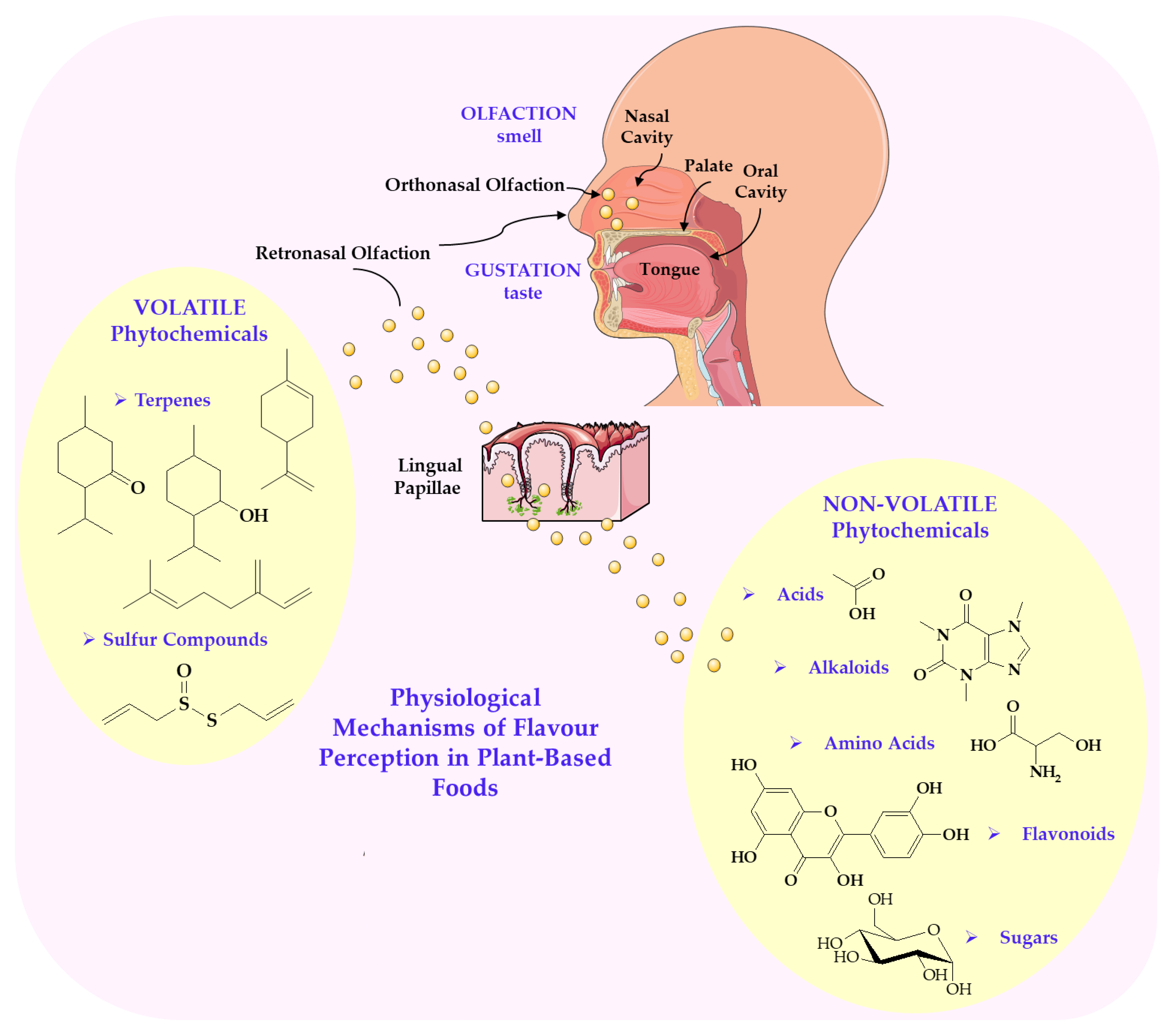 Nutrients 17 03319 g002