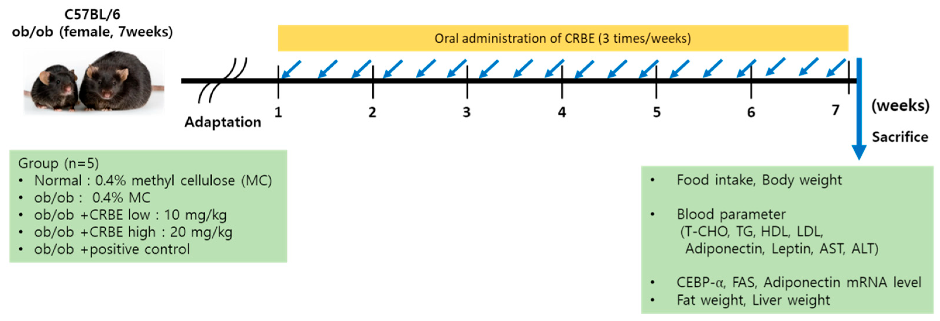 Nutrients 17 03322 g001 Nutrients 17 03322 g001