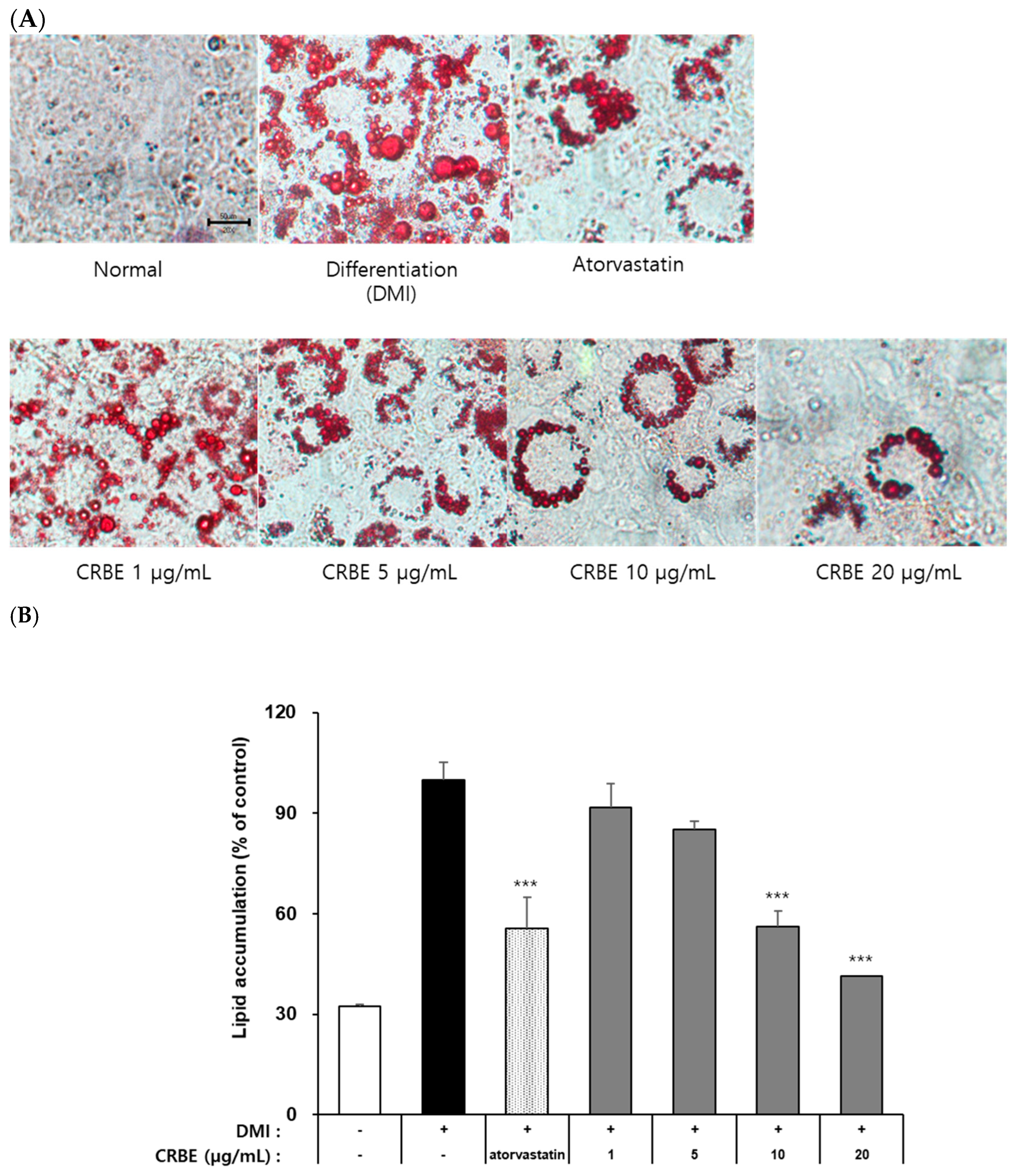 Nutrients 17 03322 g004 Nutrients 17 03322 g004
