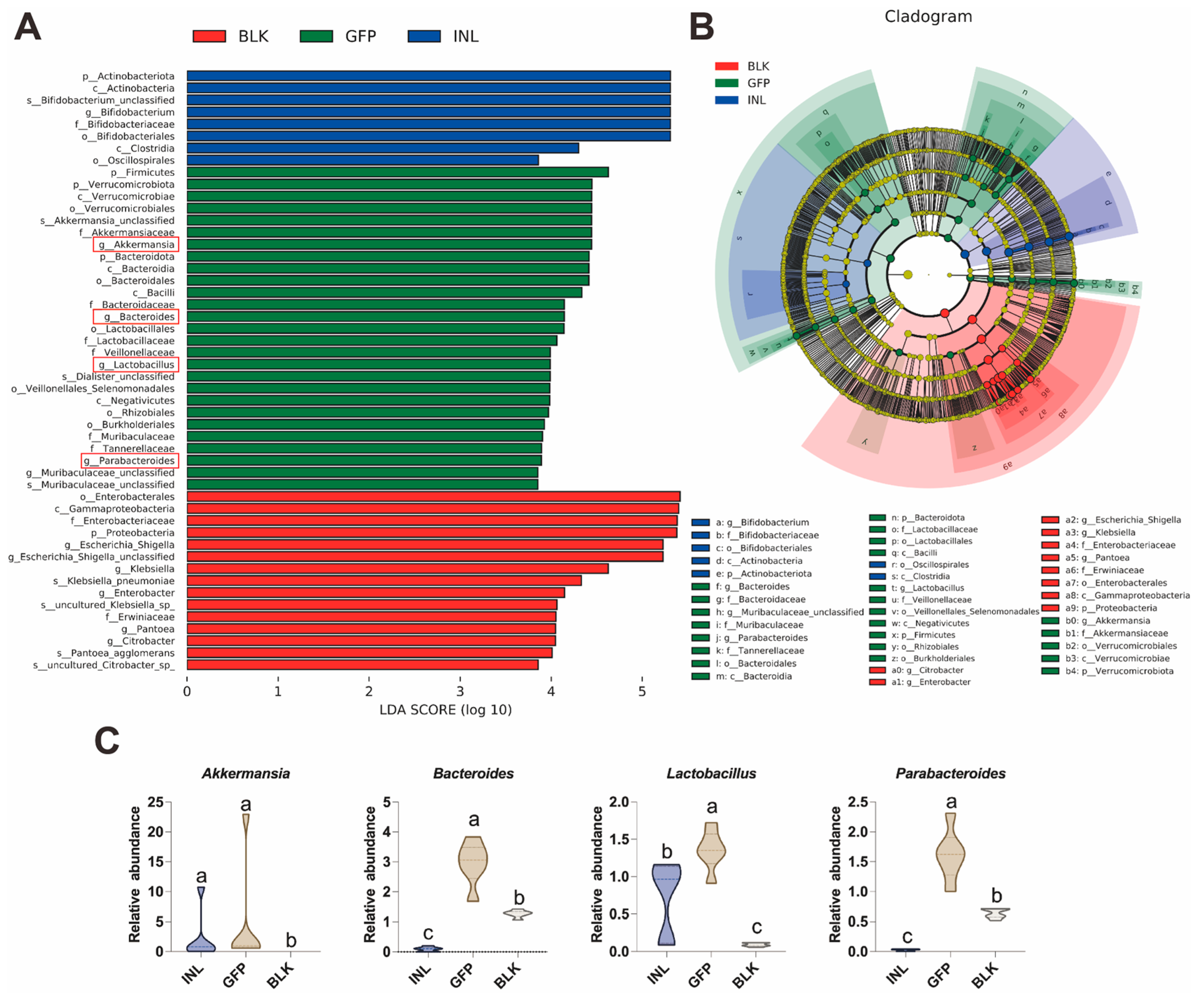 Nutrients 17 03332 g005