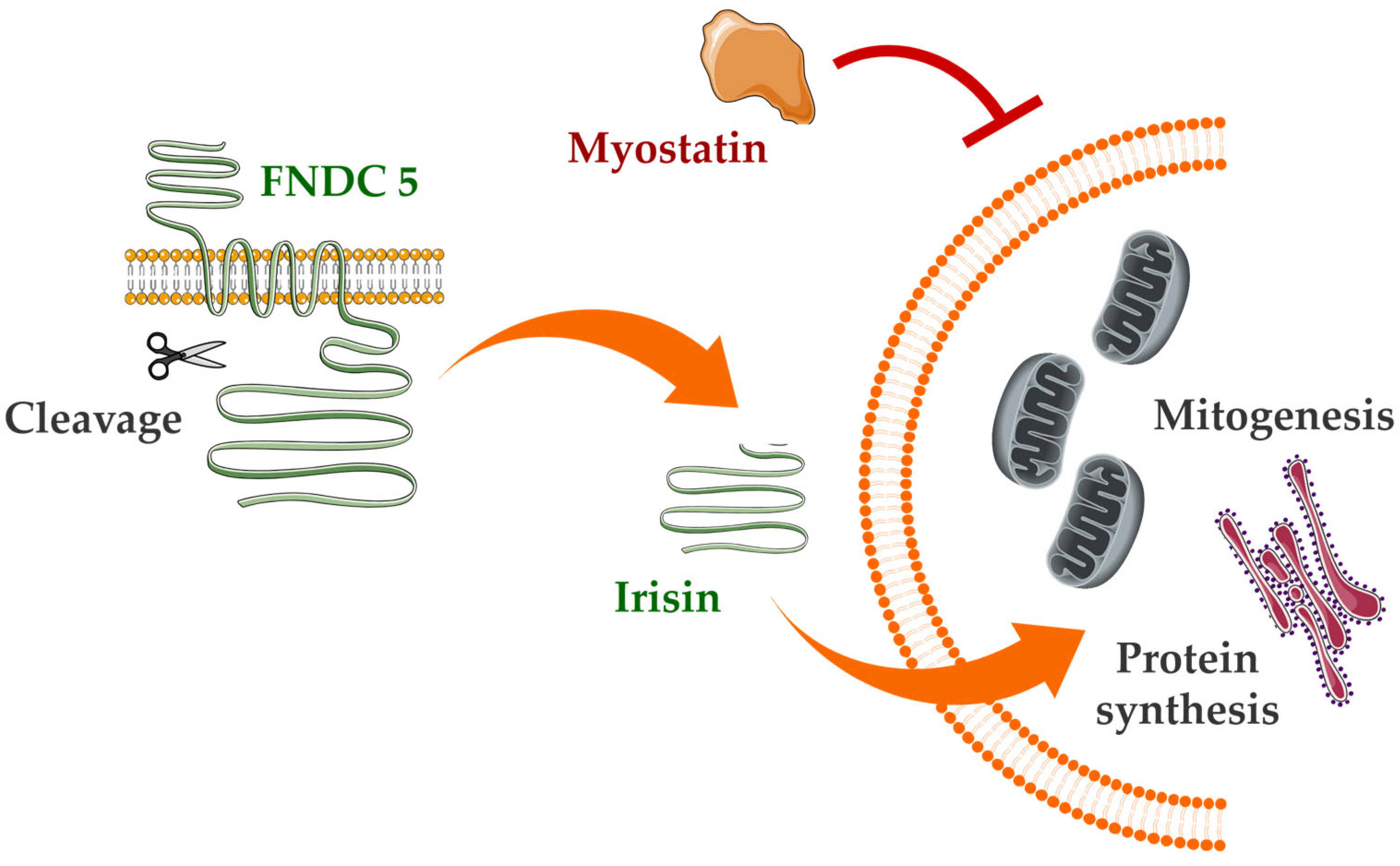 Nutrients 17 03333 g002