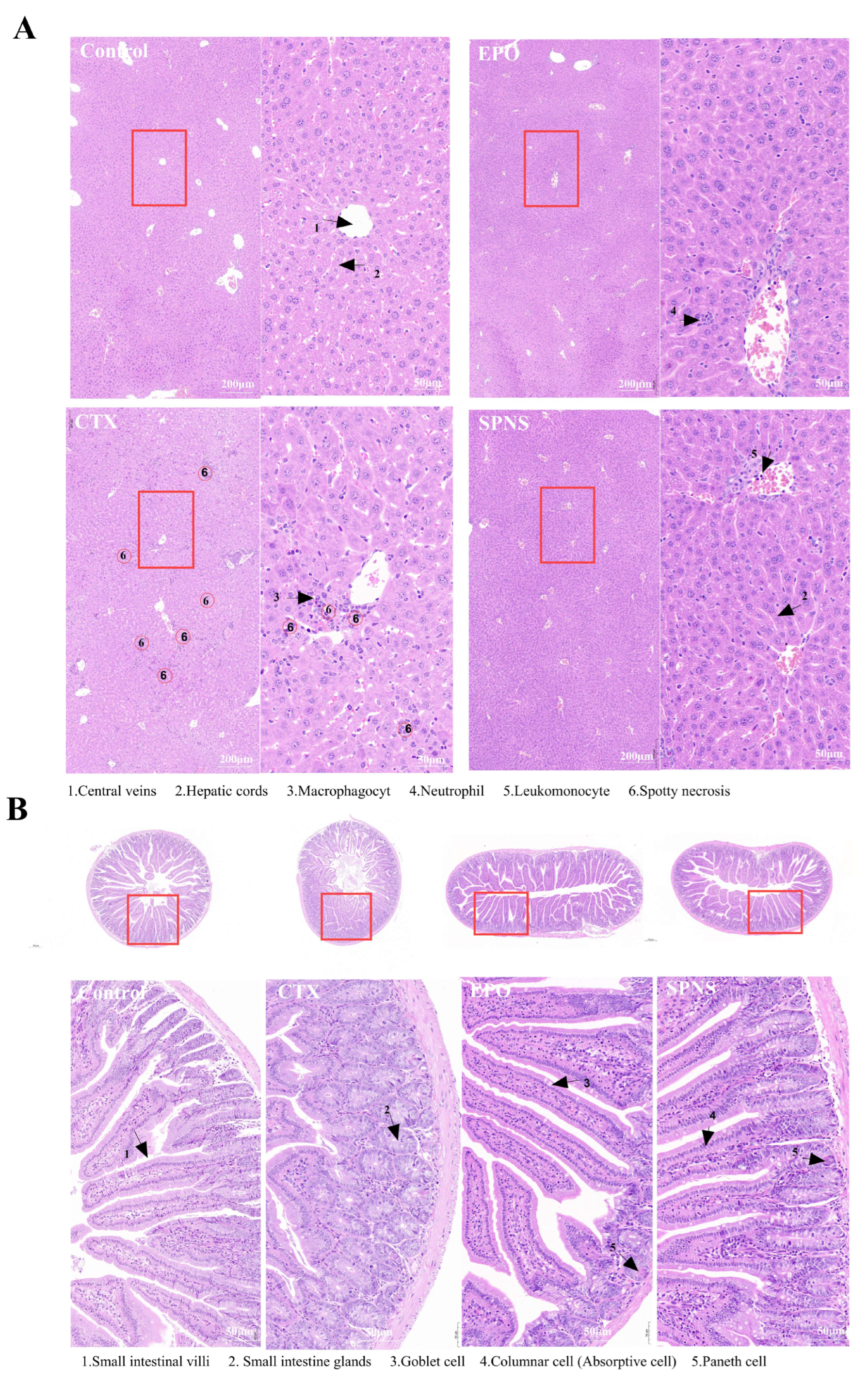 Nutrients 17 03335 g002