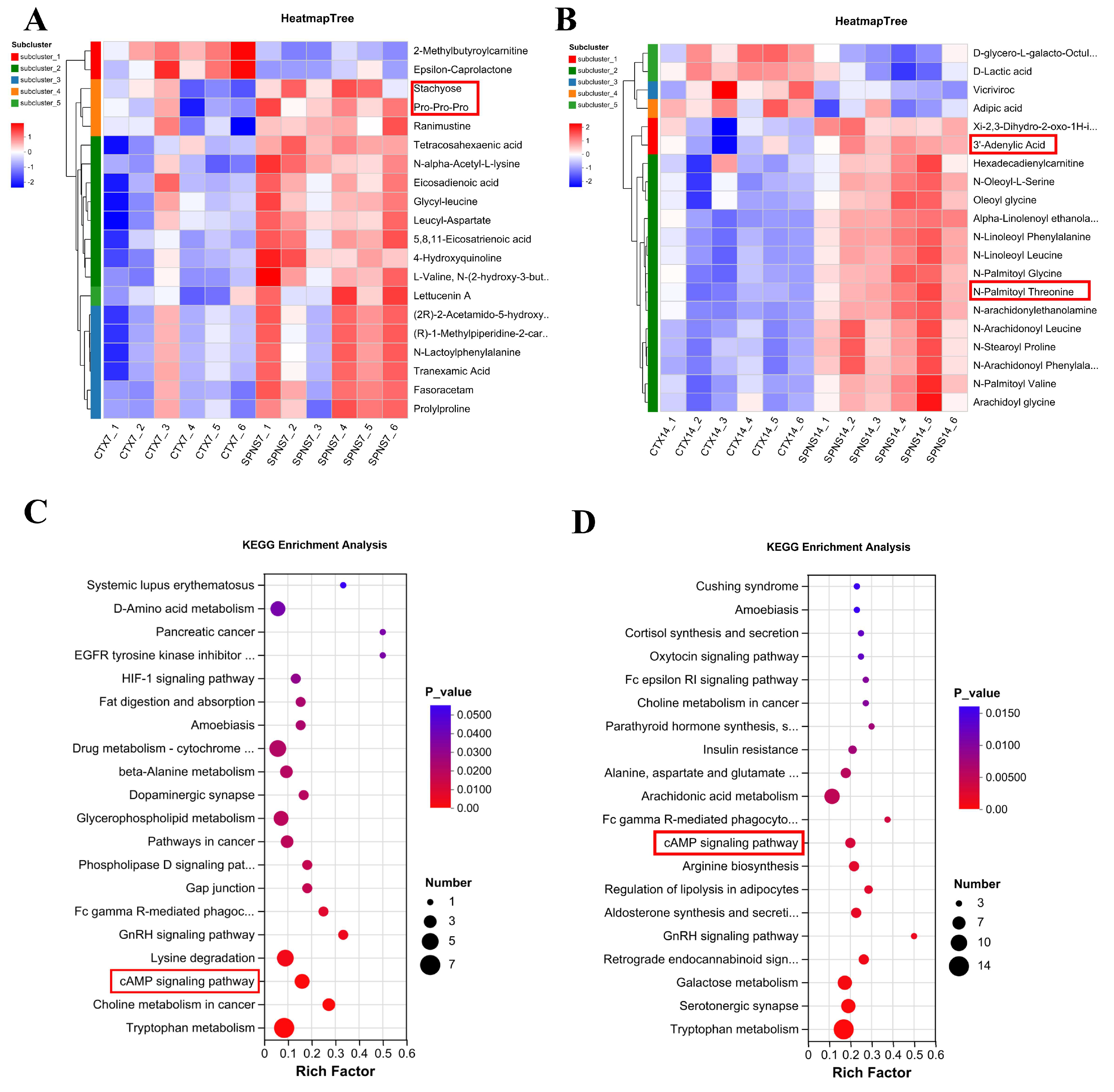 Nutrients 17 03335 g003