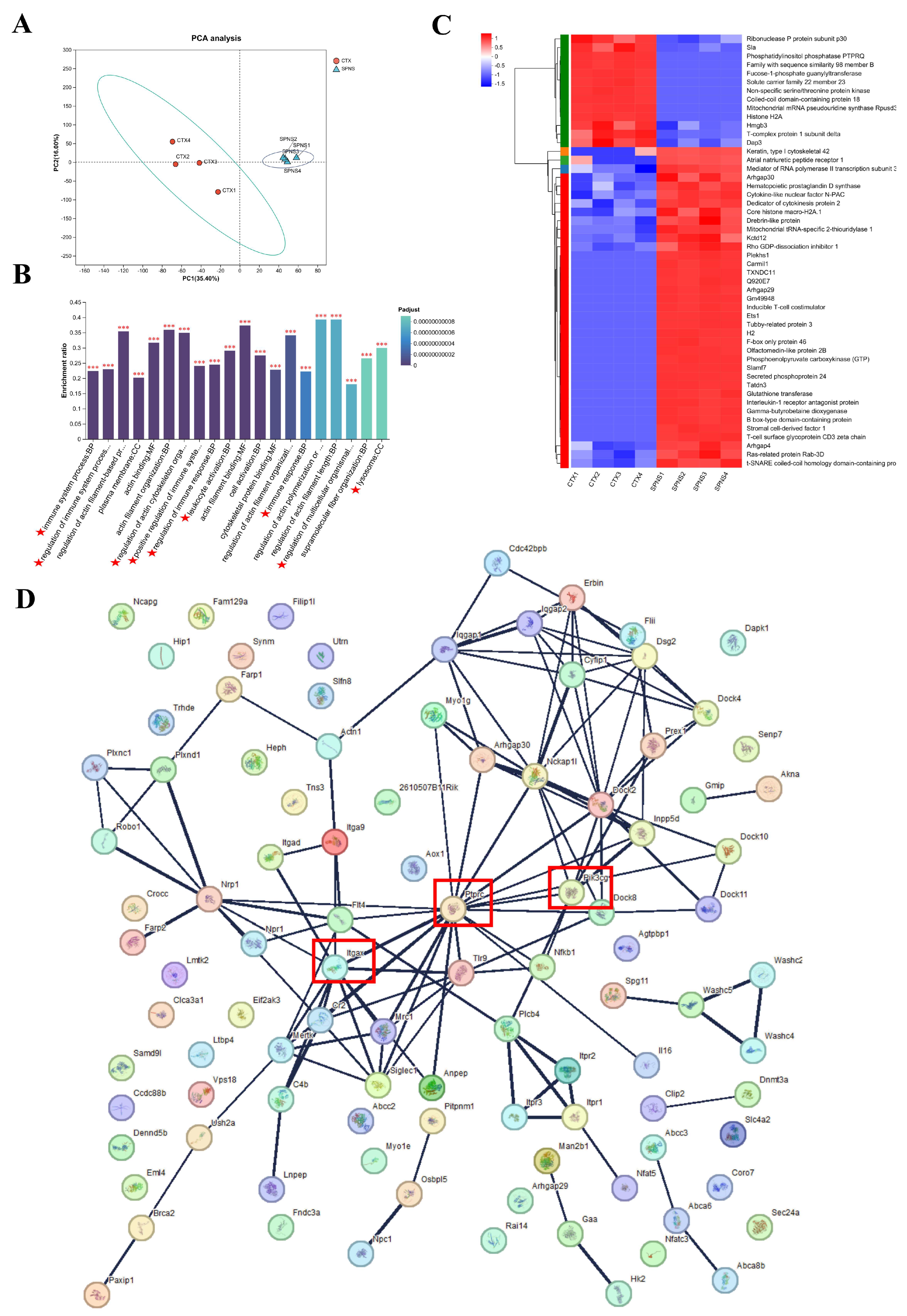 Nutrients 17 03335 g004
