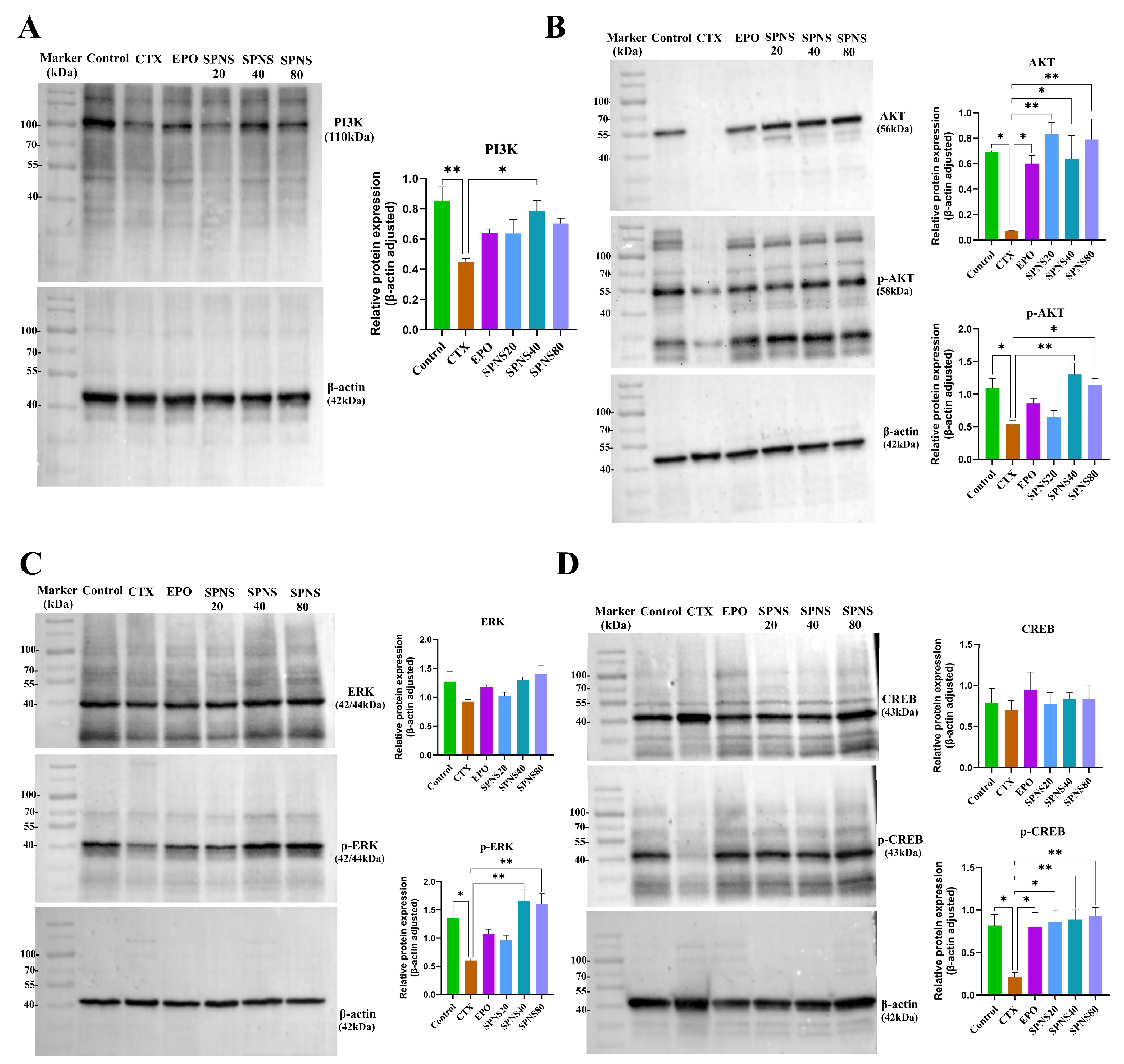 Nutrients 17 03335 g005