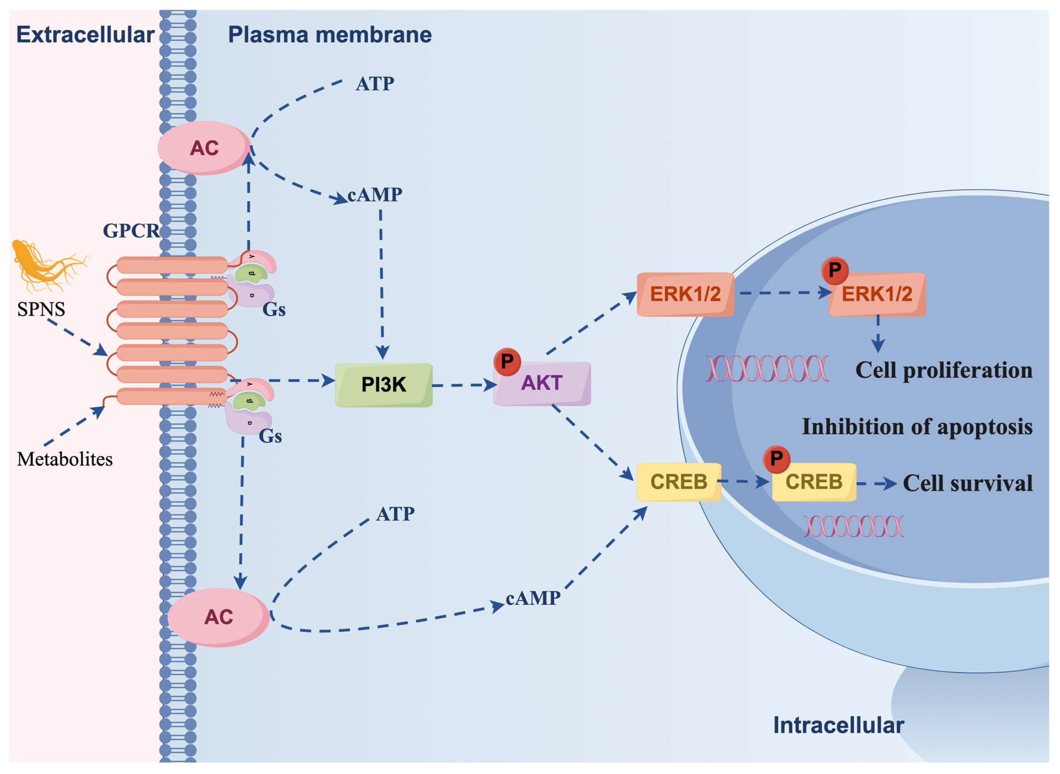 Nutrients 17 03335 g009