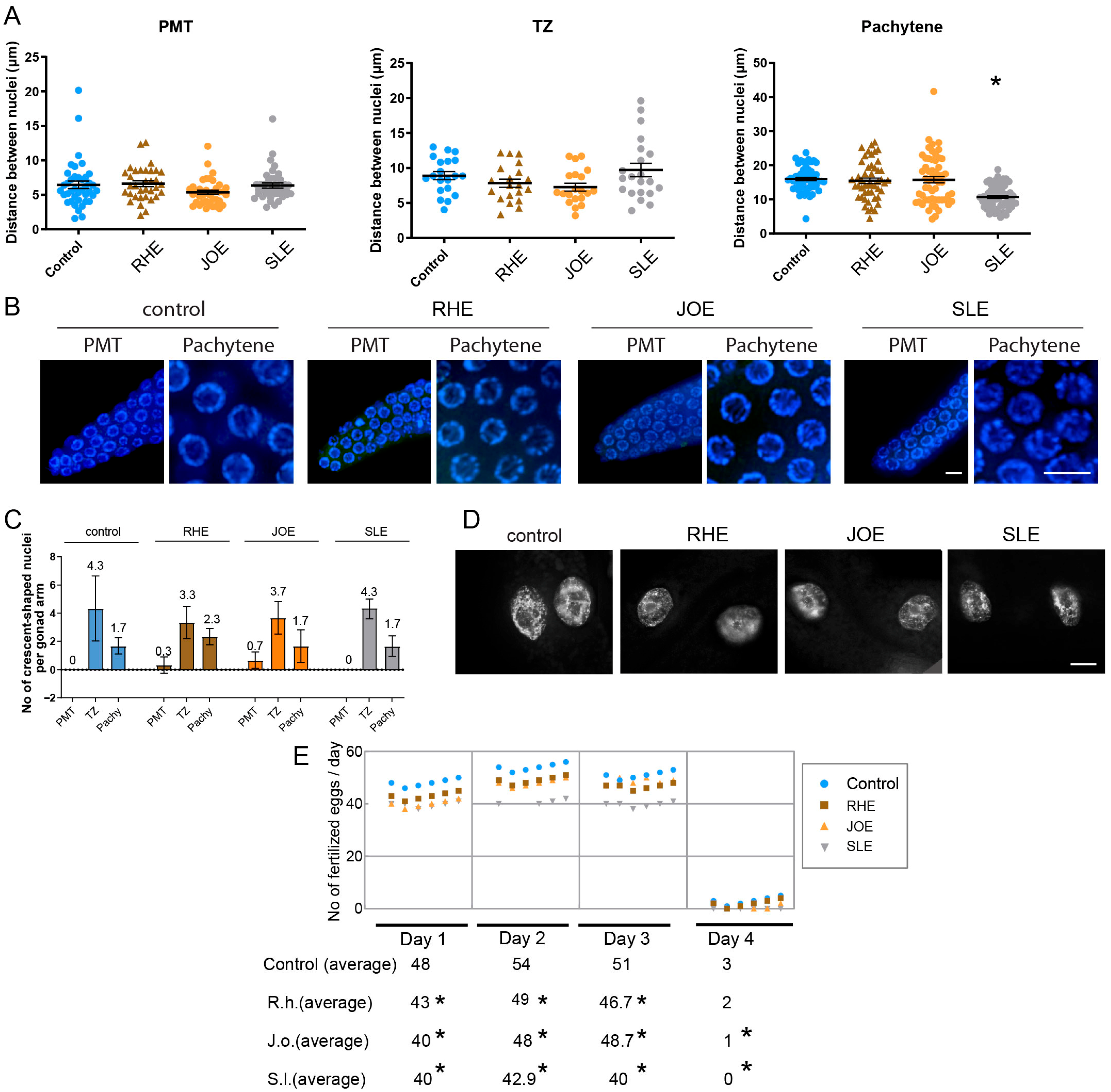 Nutrients 17 03337 g004 Nutrients 17 03337 g004
