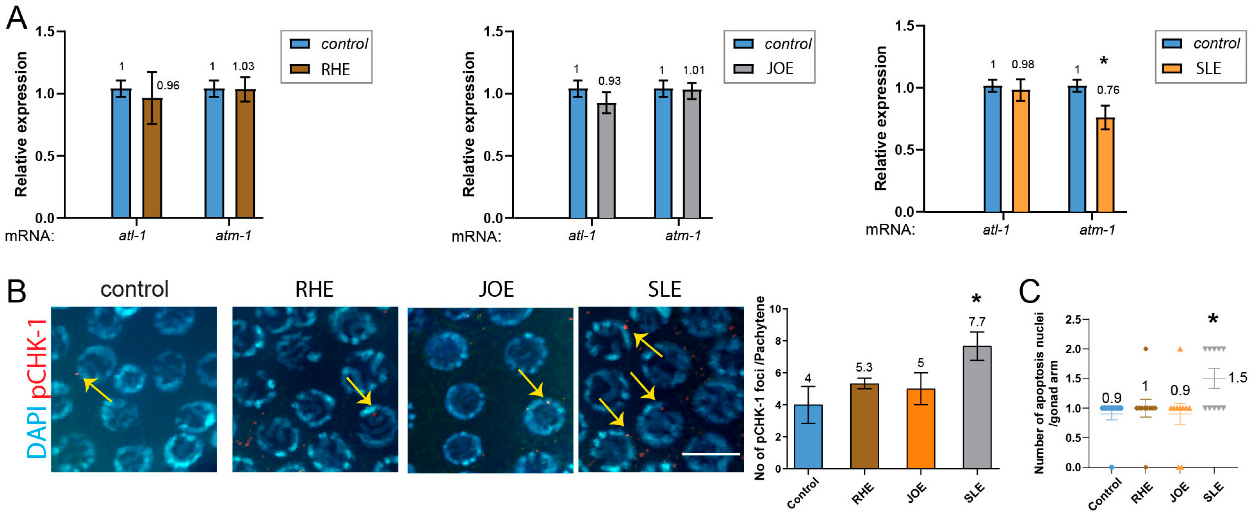Nutrients 17 03337 g005 Nutrients 17 03337 g005