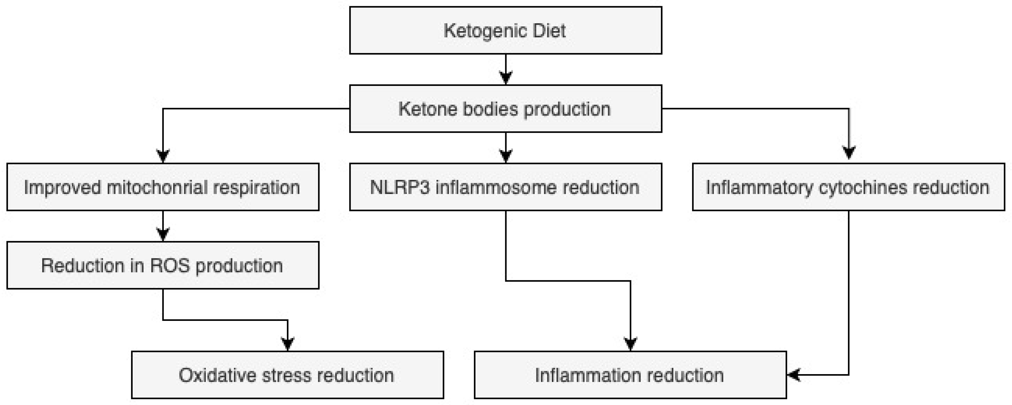 Nutrients 17 03343 g001