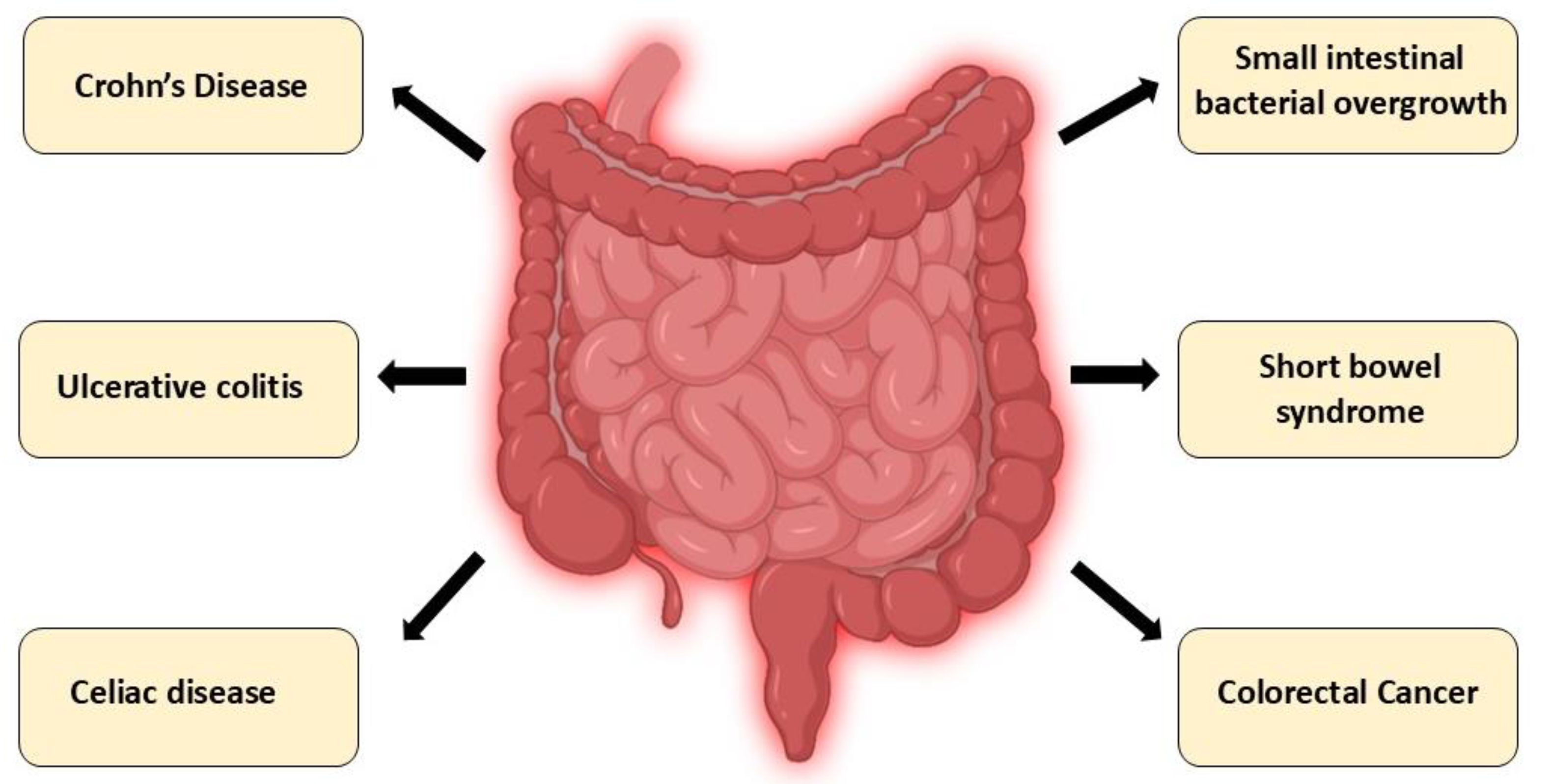 Nutrients 17 03348 g004 Nutrients 17 03348 g004