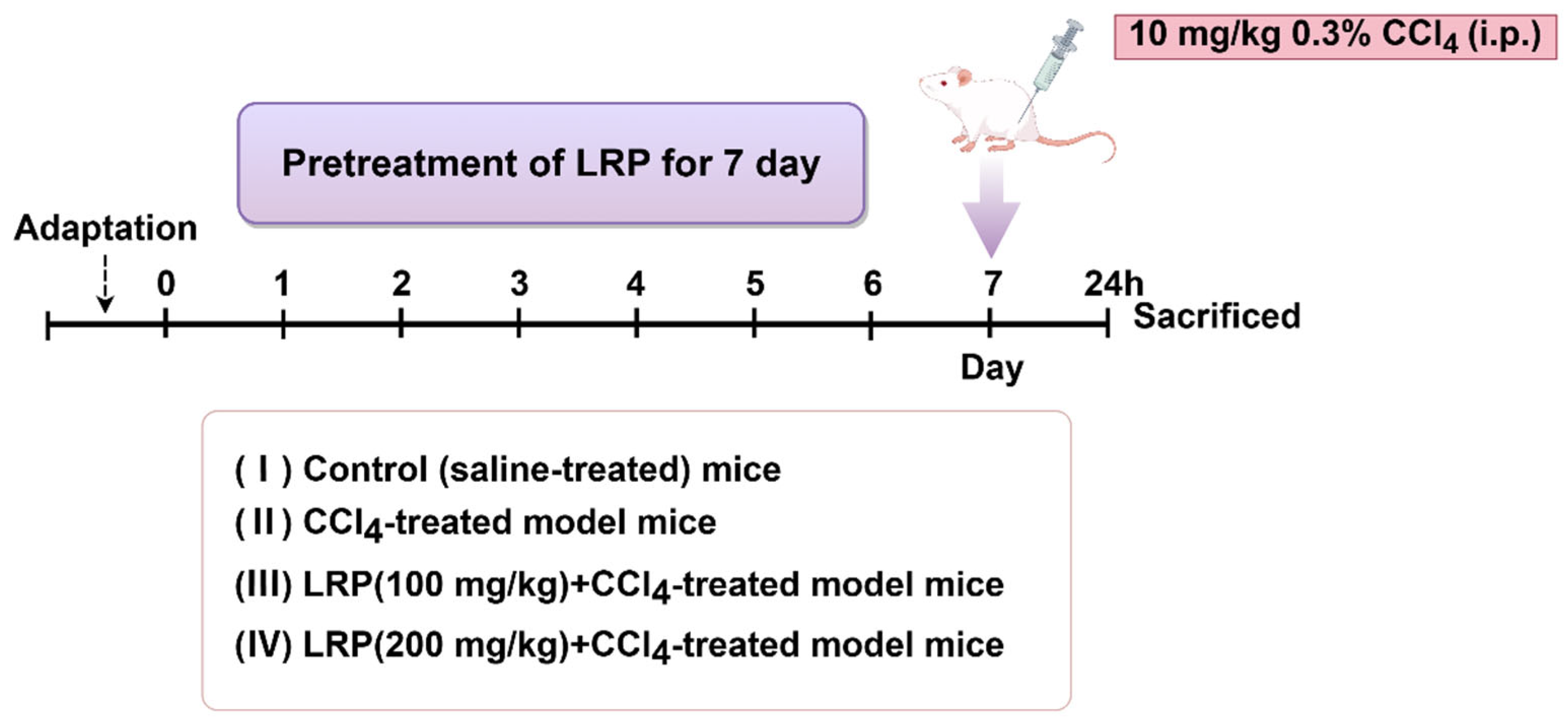 Nutrients 17 03359 g001