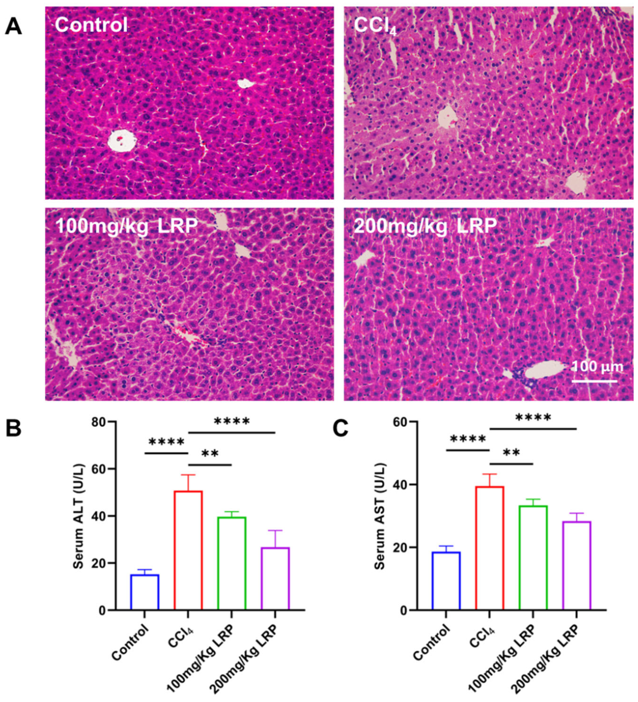 Nutrients 17 03359 g005