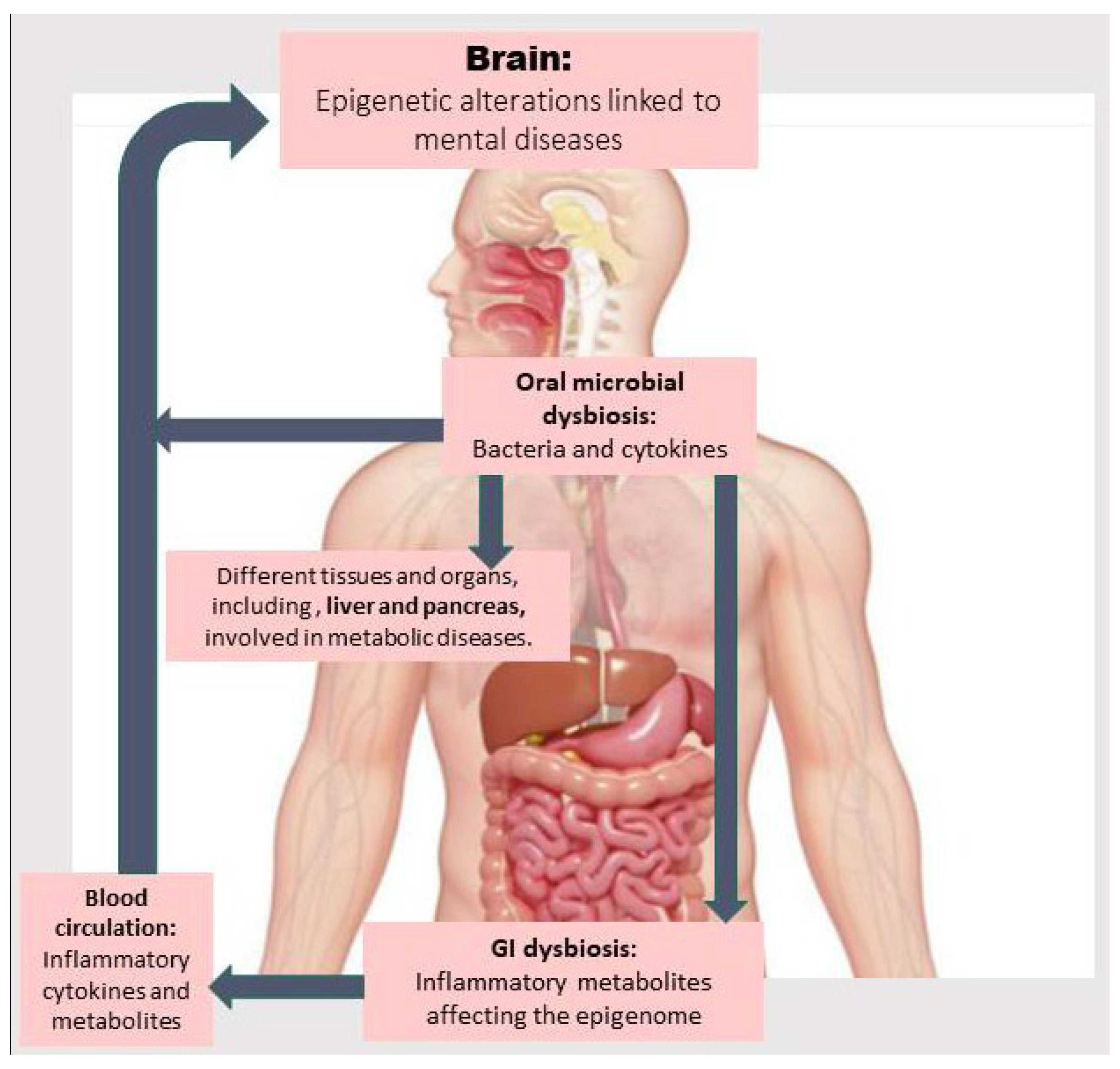 Nutrients 17 03367 g001