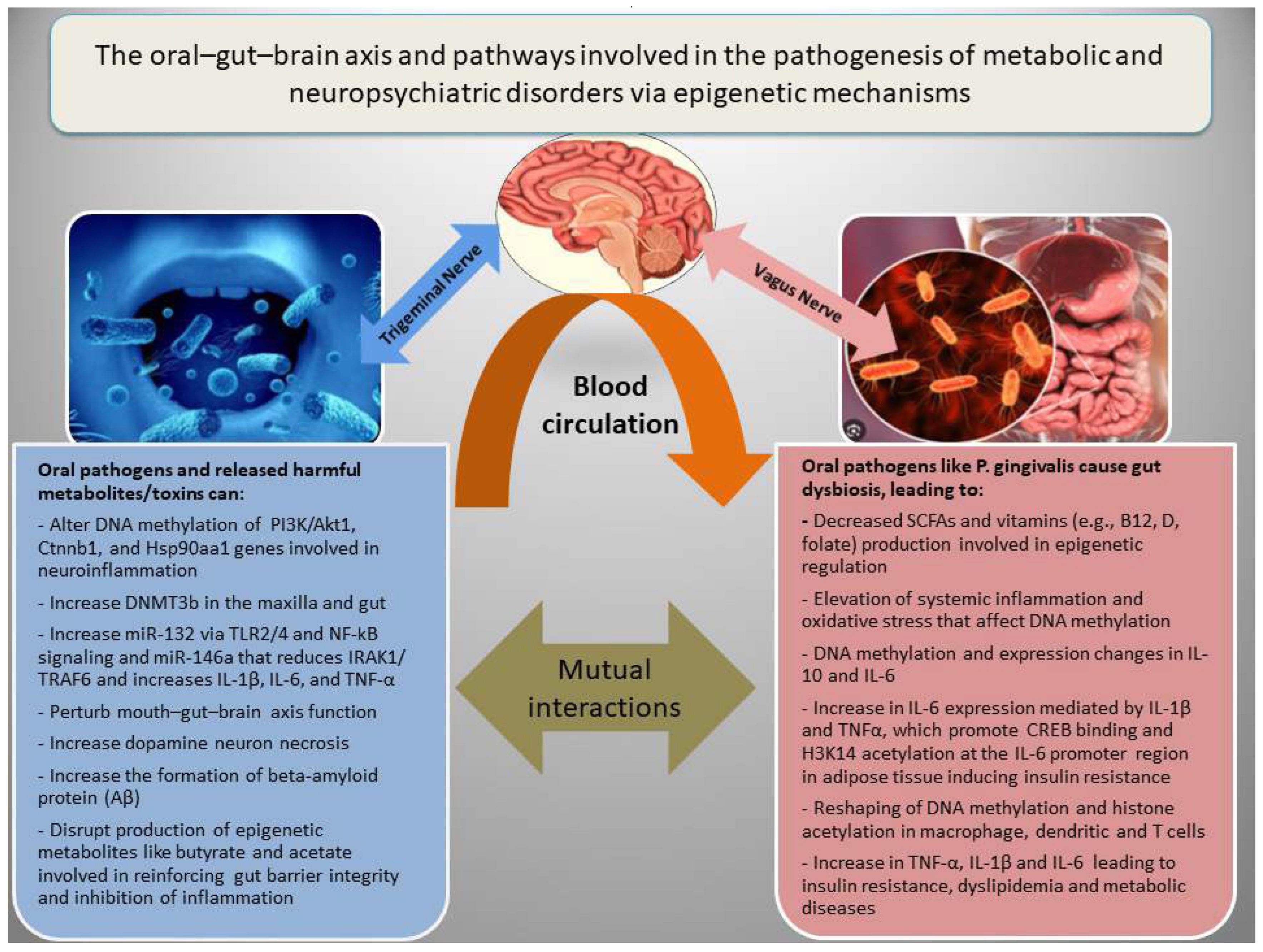Nutrients 17 03367 g002