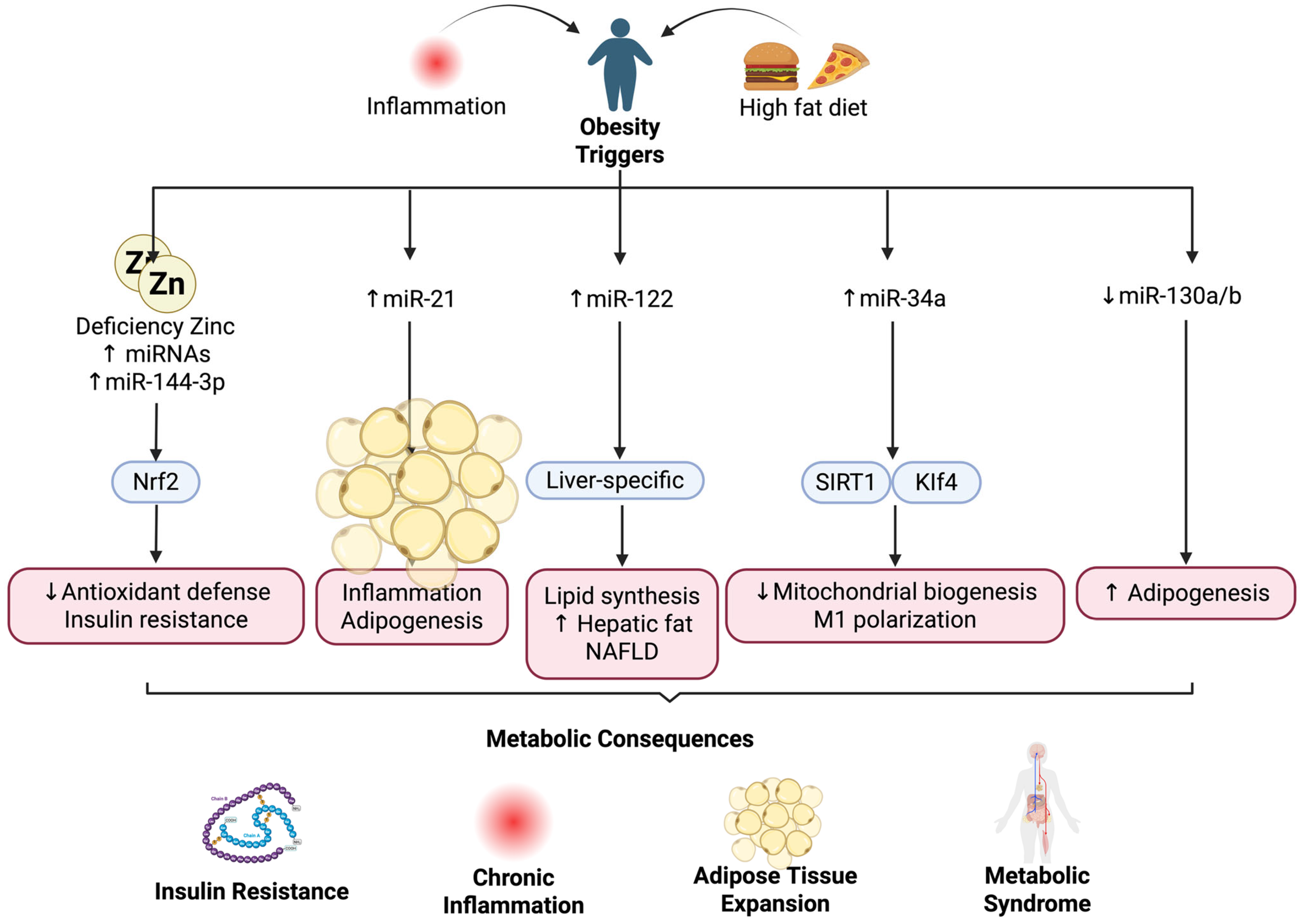 Nutrients 17 03375 g002