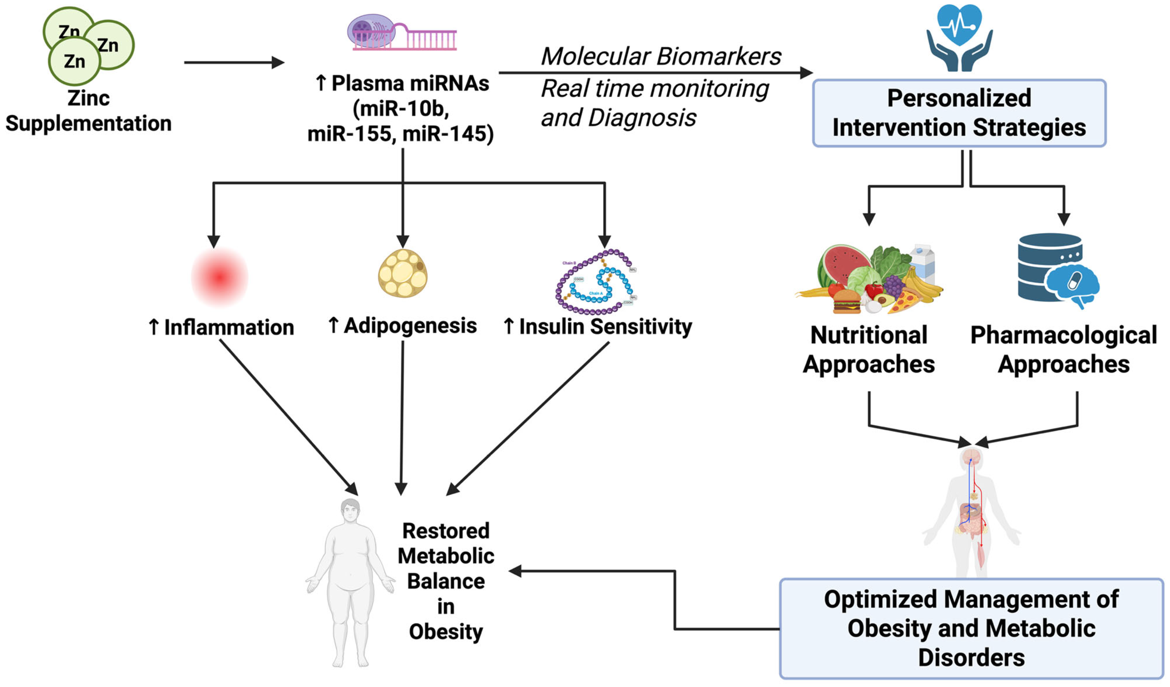 Nutrients 17 03375 g005