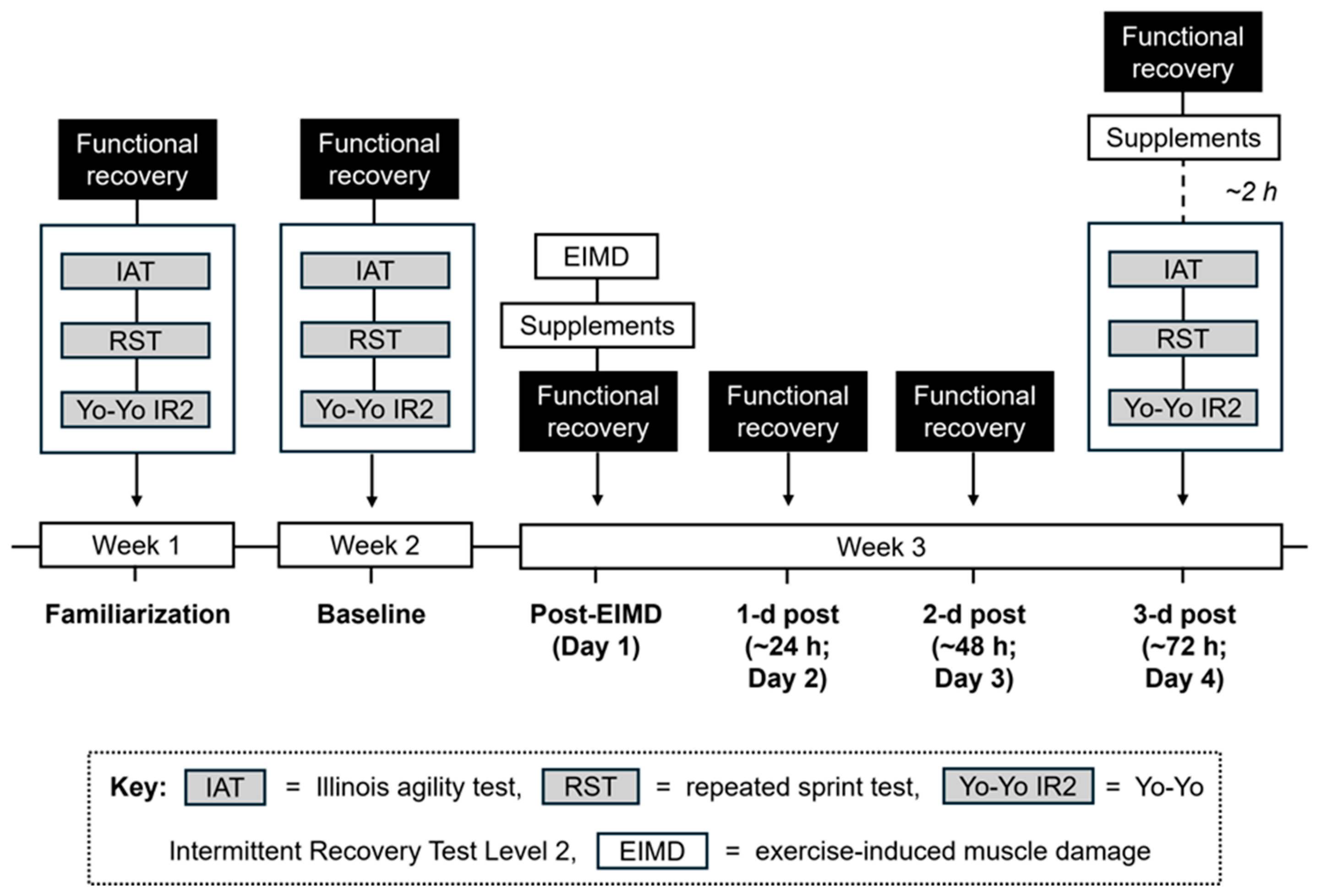 Nutrients 17 03383 g001