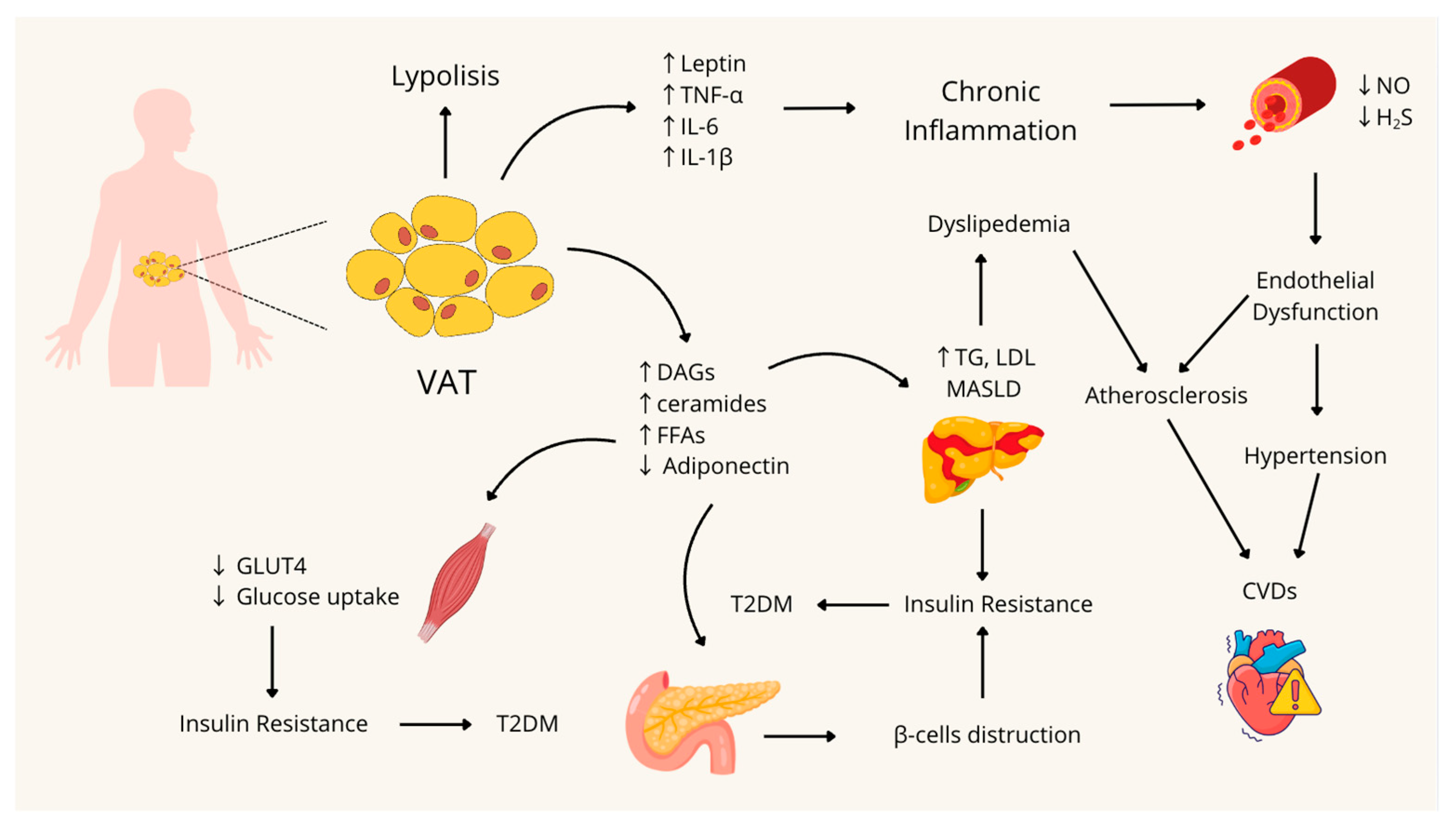 Nutrients 17 03394 g001