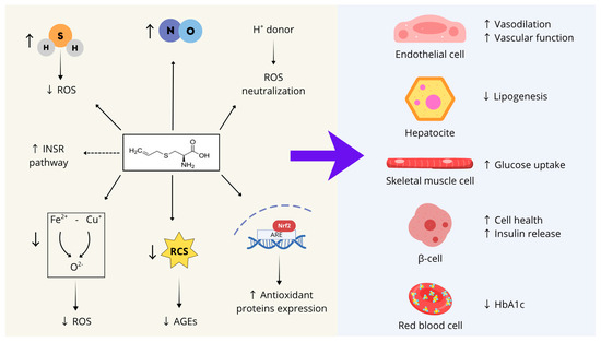 Nutrients 17 03394 g002