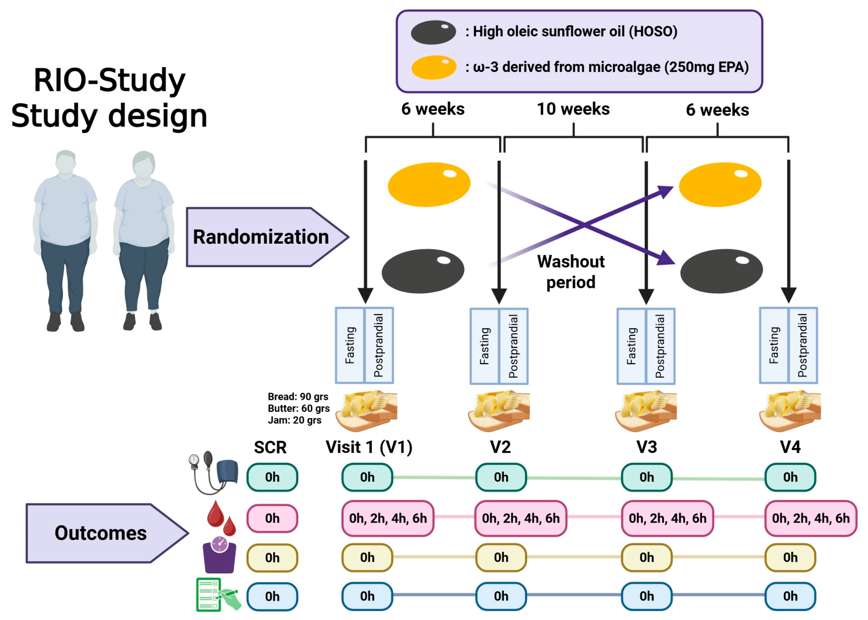 Nutrients 17 03397 g001