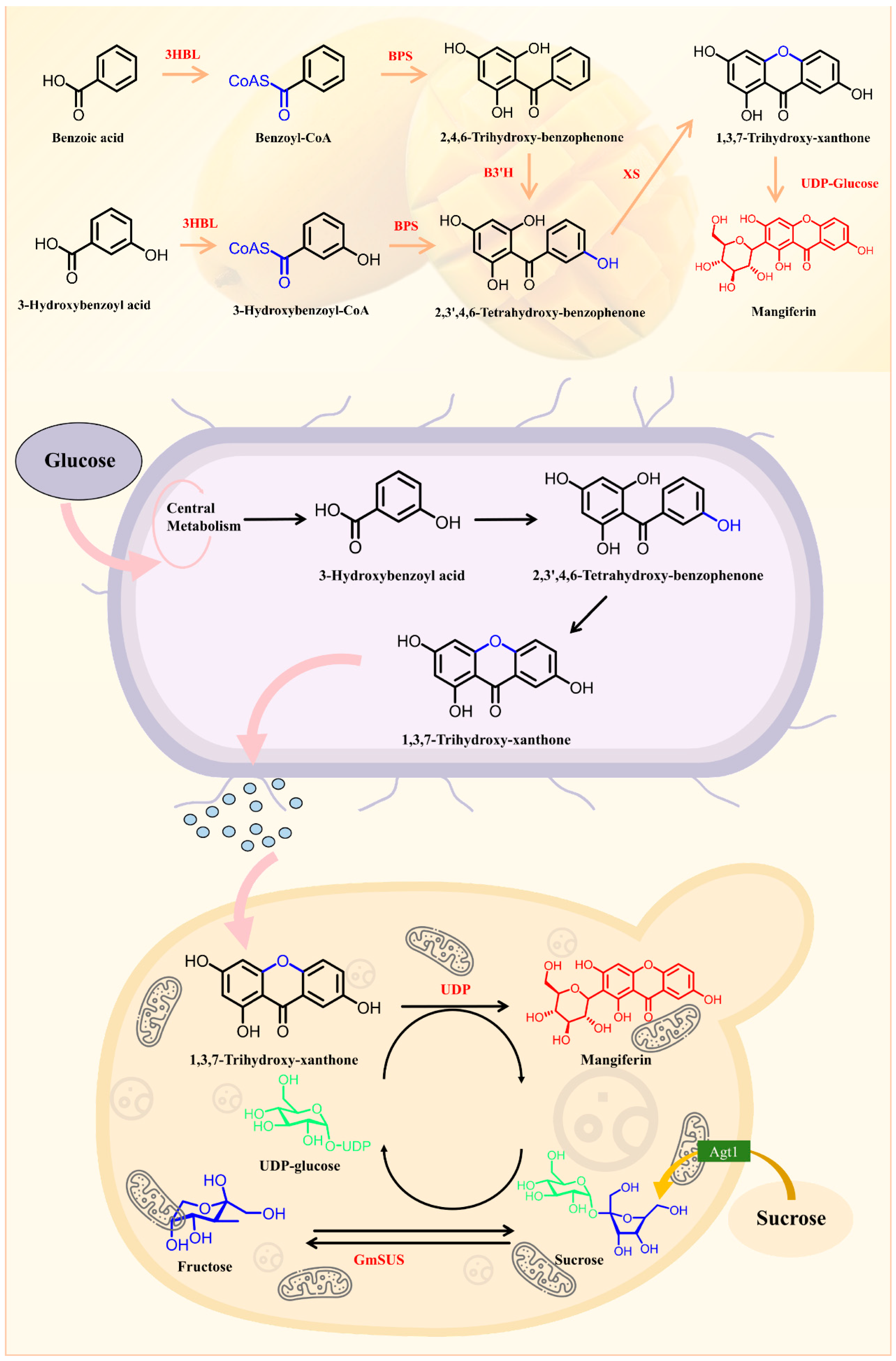 Nutrients 17 03401 g003
