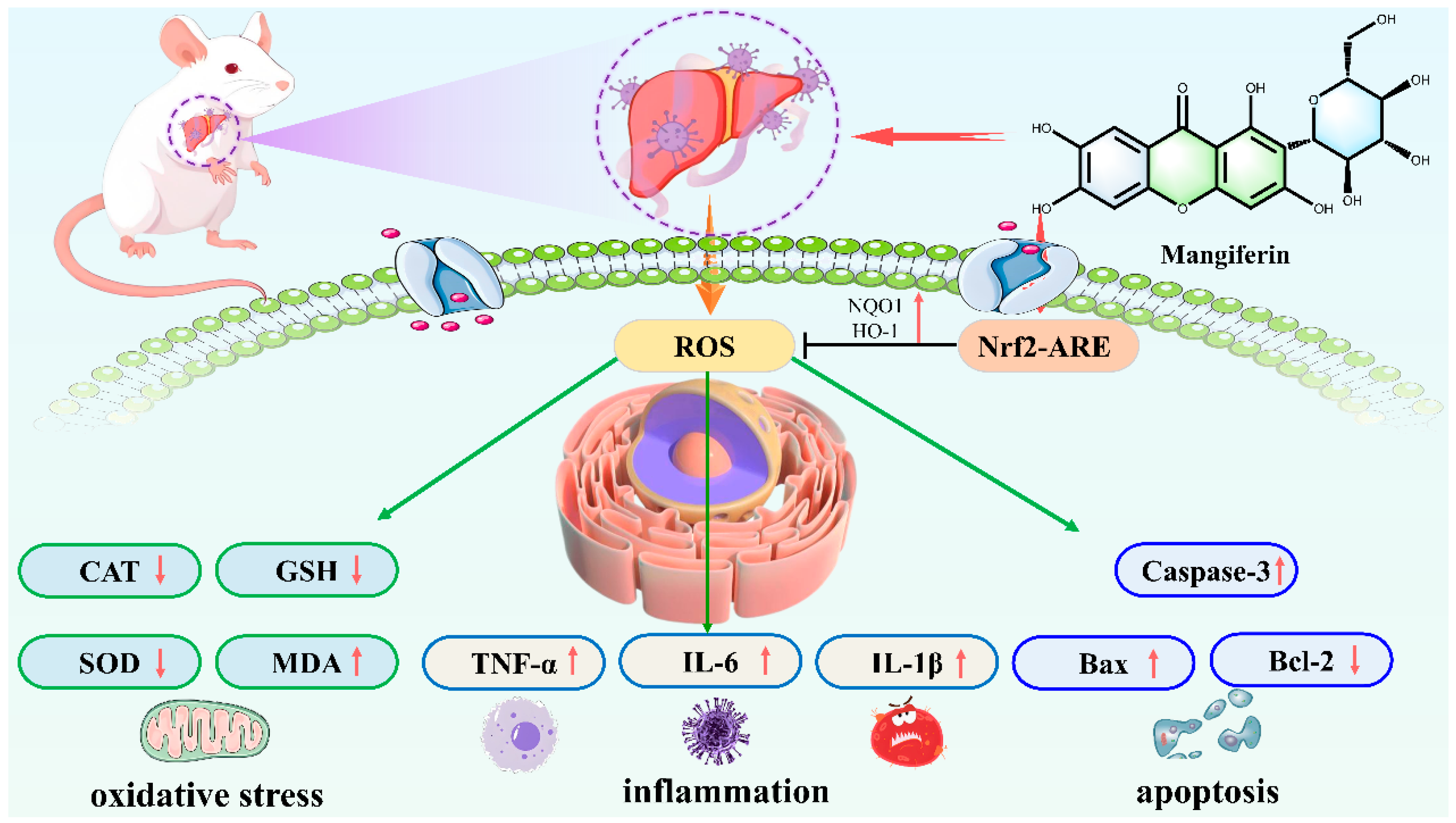 Nutrients 17 03401 g009