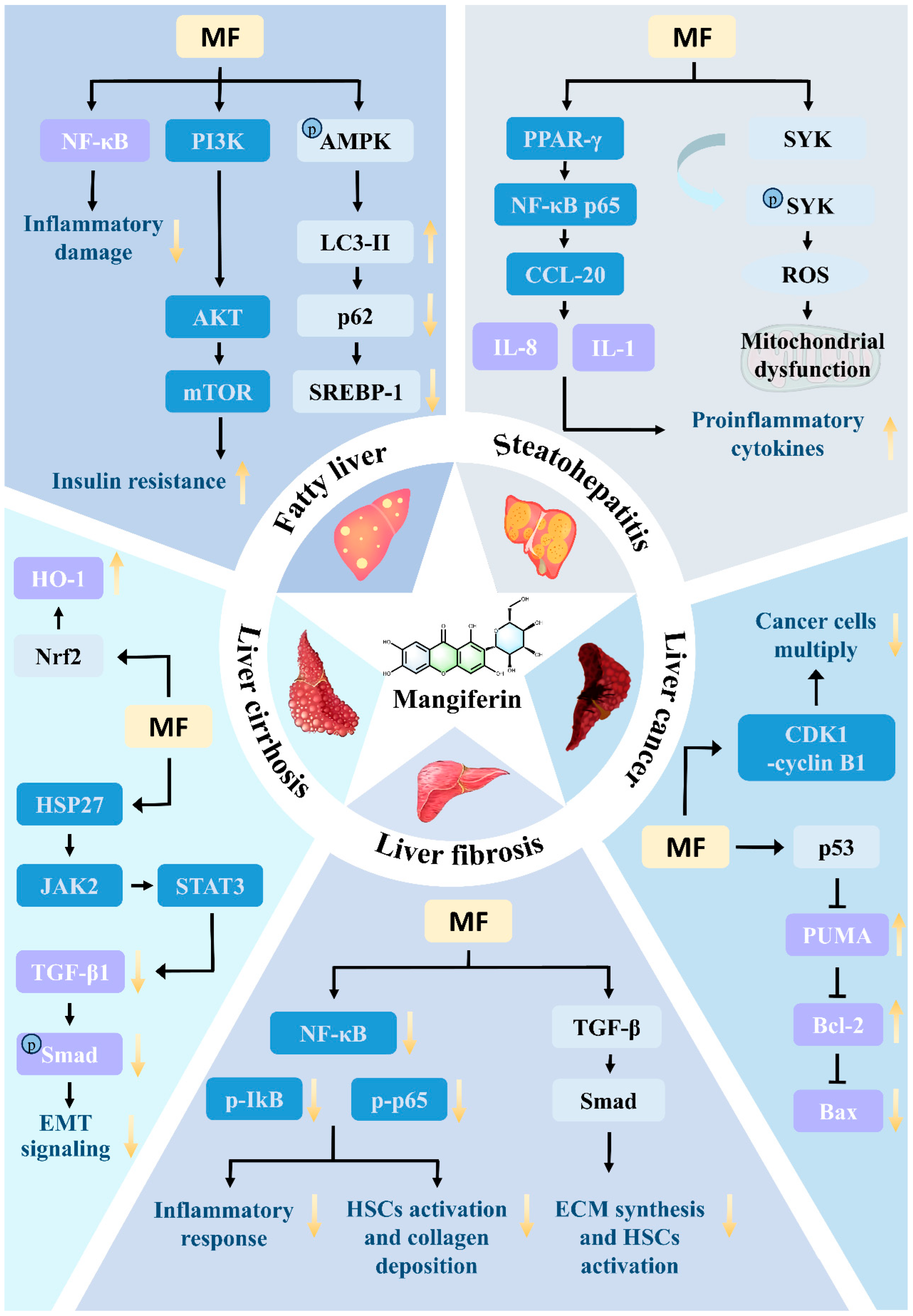 Nutrients 17 03401 g010