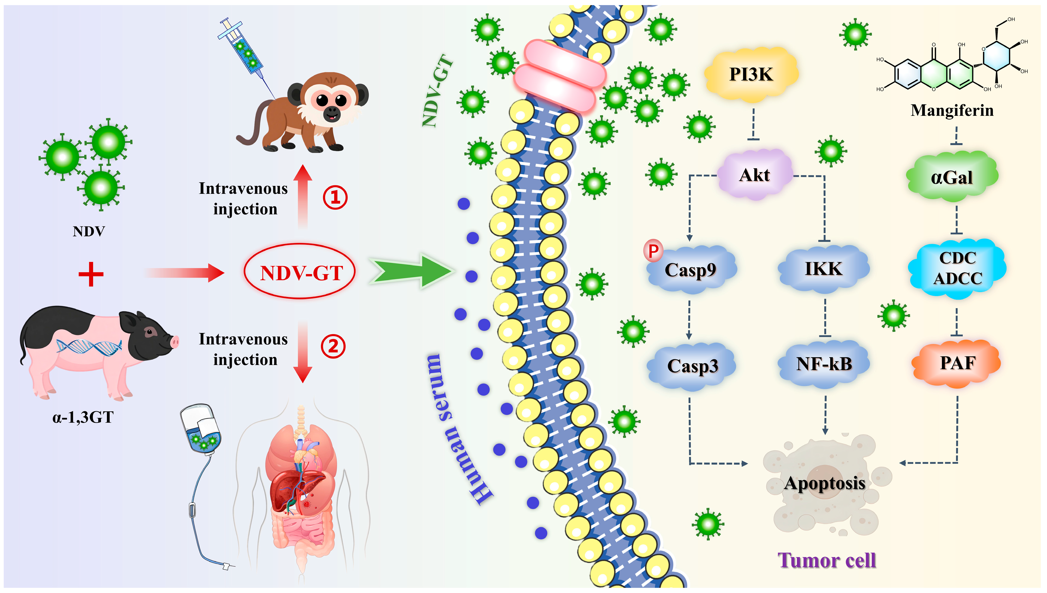Nutrients 17 03401 g015