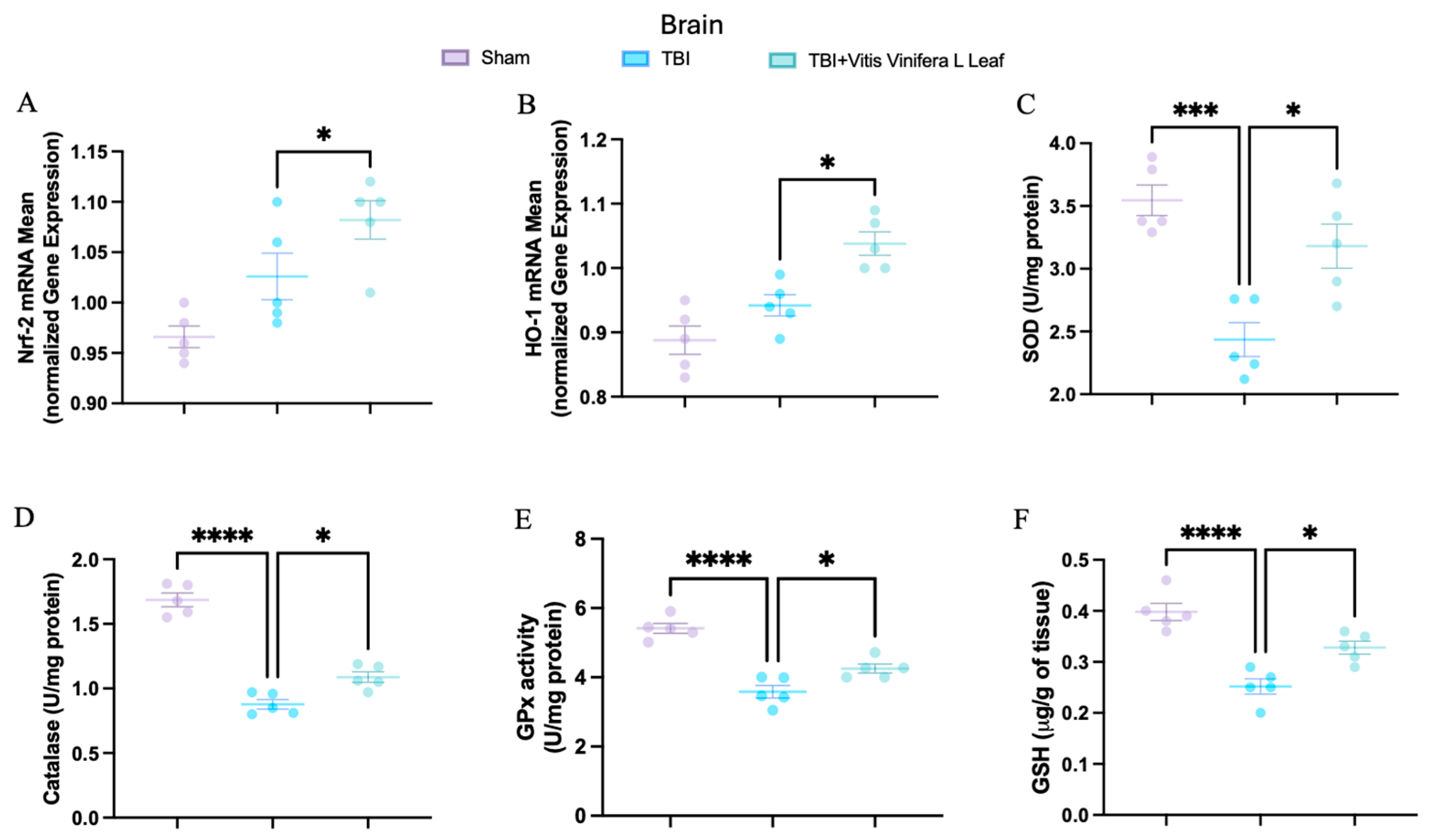 Nutrients 17 03404 g005